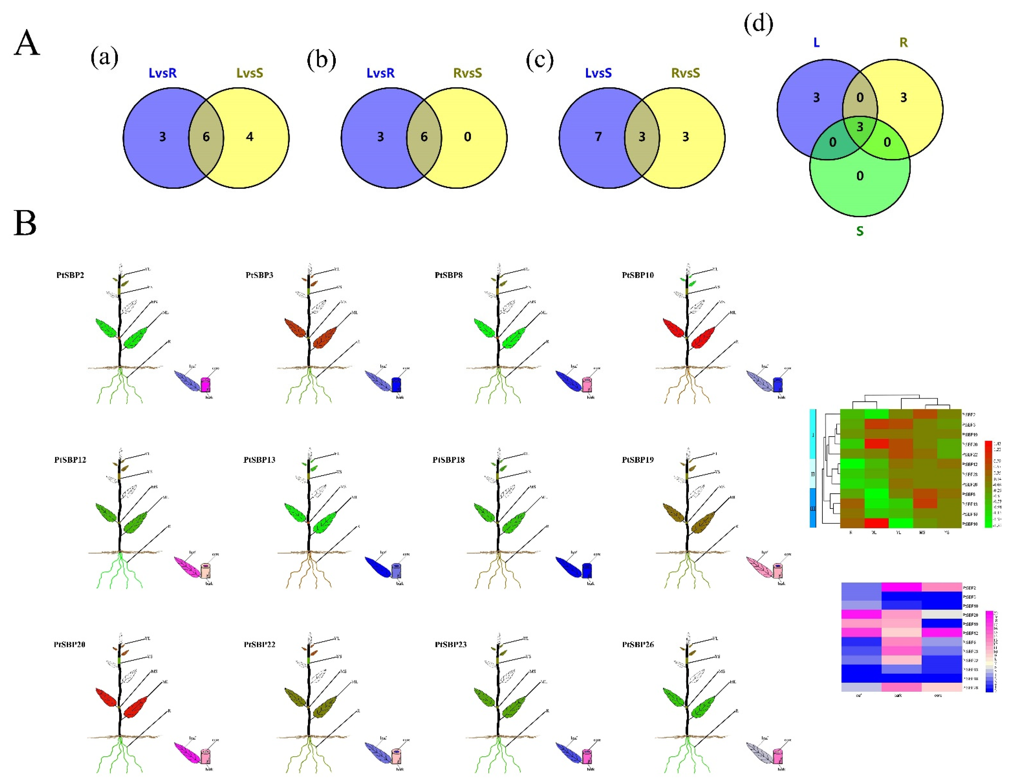 Forests 12 00413 g008
