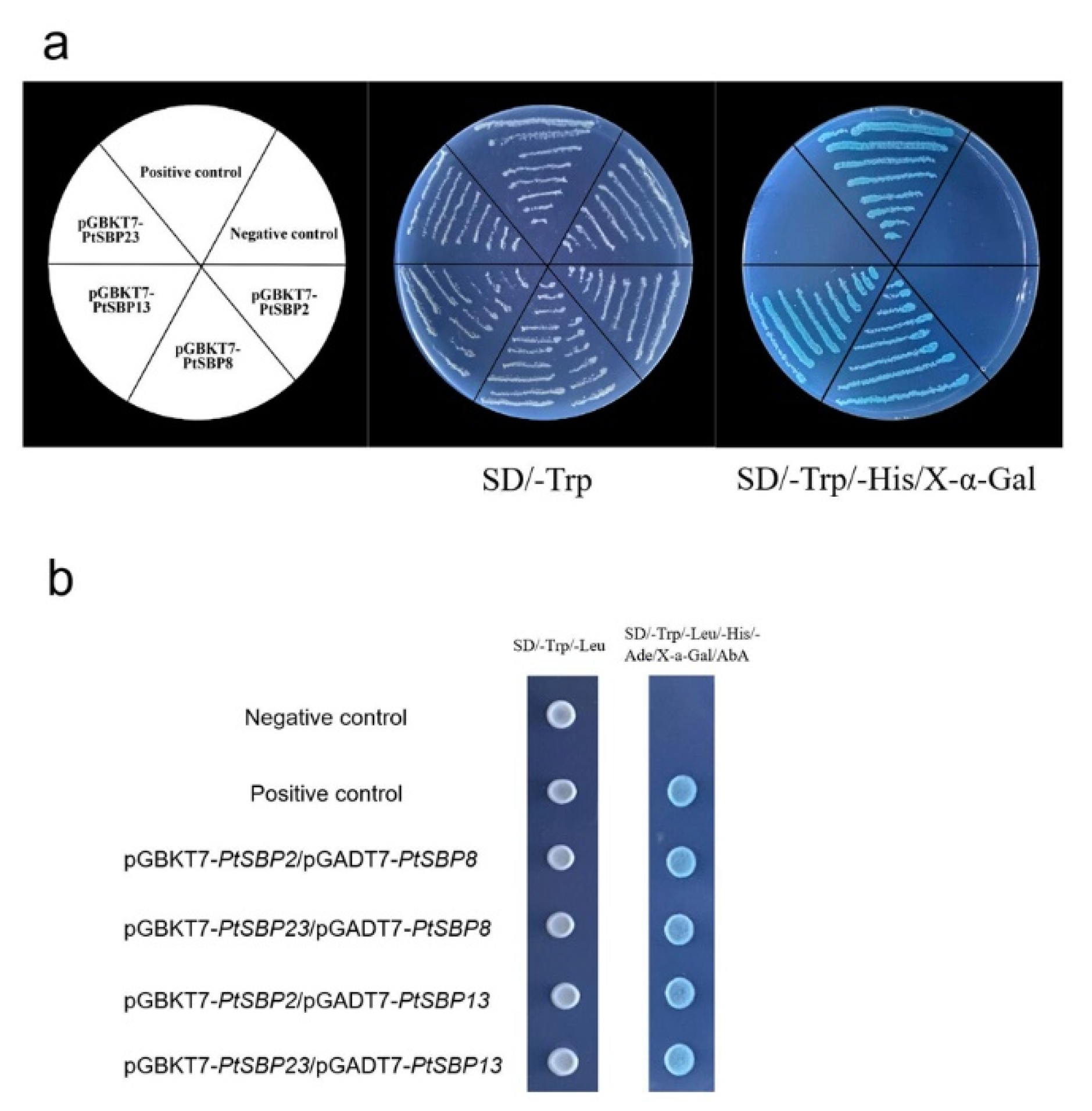 Forests 12 00413 g011