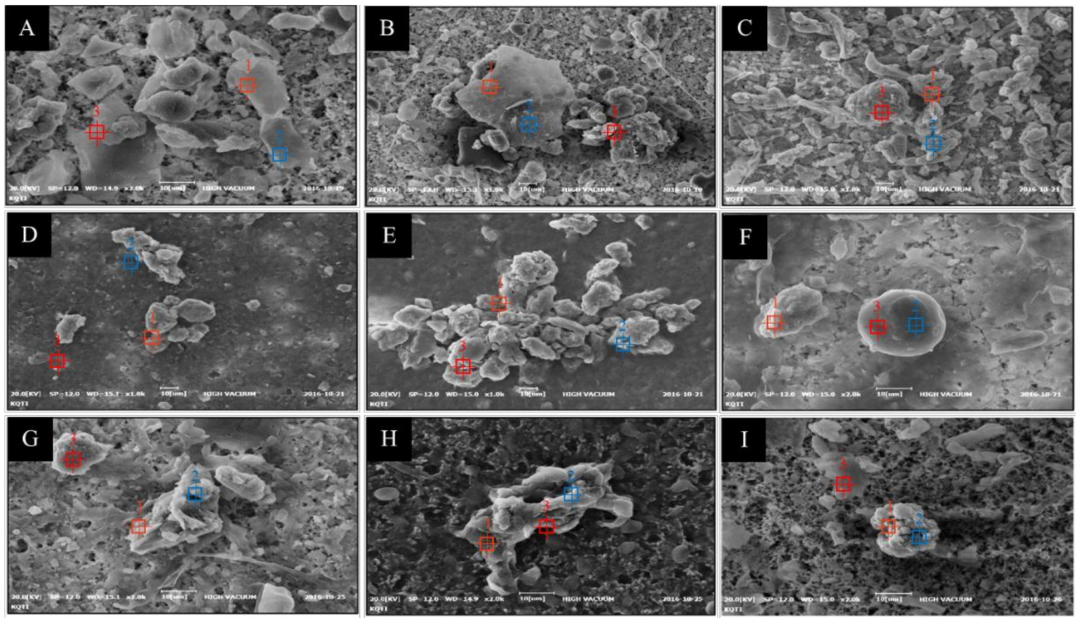 Forests 12 00438 g006 Forests 12 00438 g006