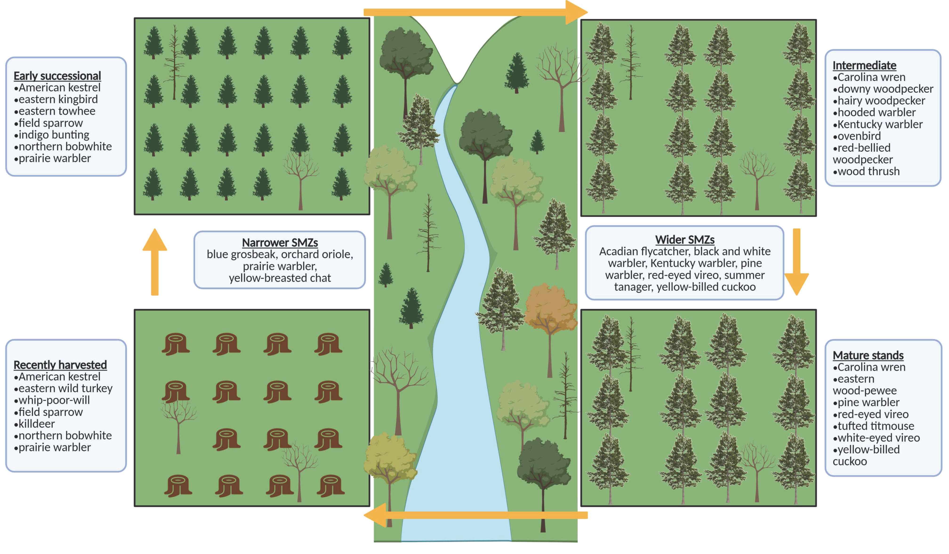 Forests 12 00442 g004 Forests 12 00442 g004
