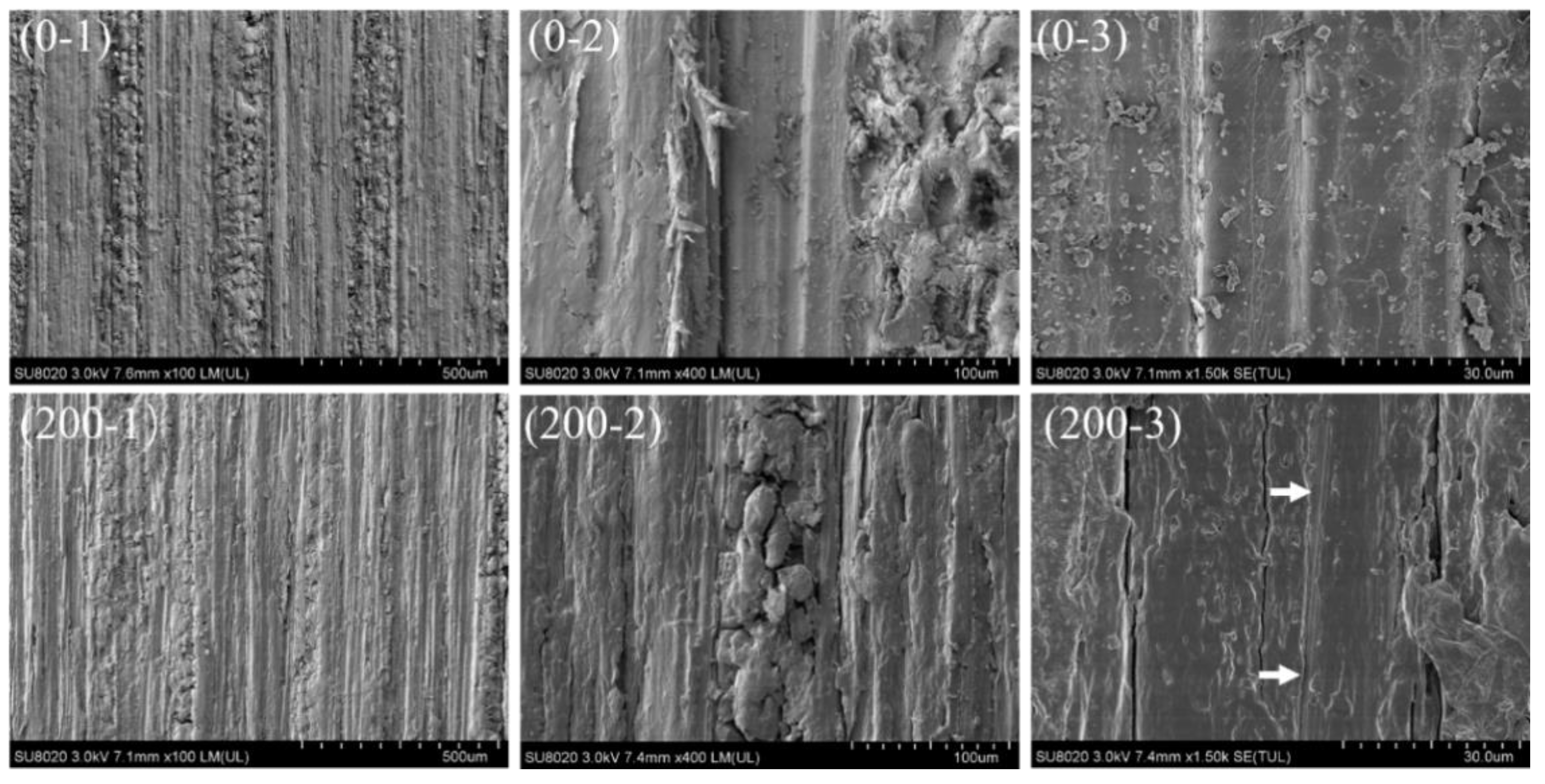 Forests 12 00446 g004 Forests 12 00446 g004