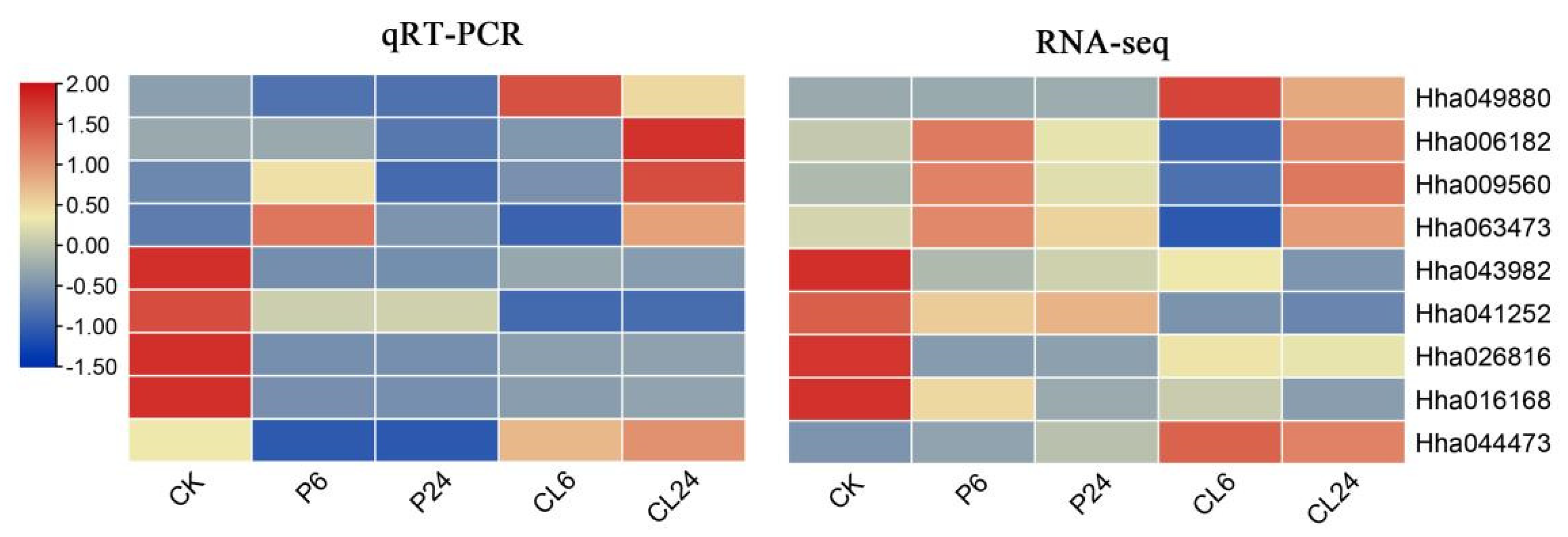 Forests 12 00454 g002