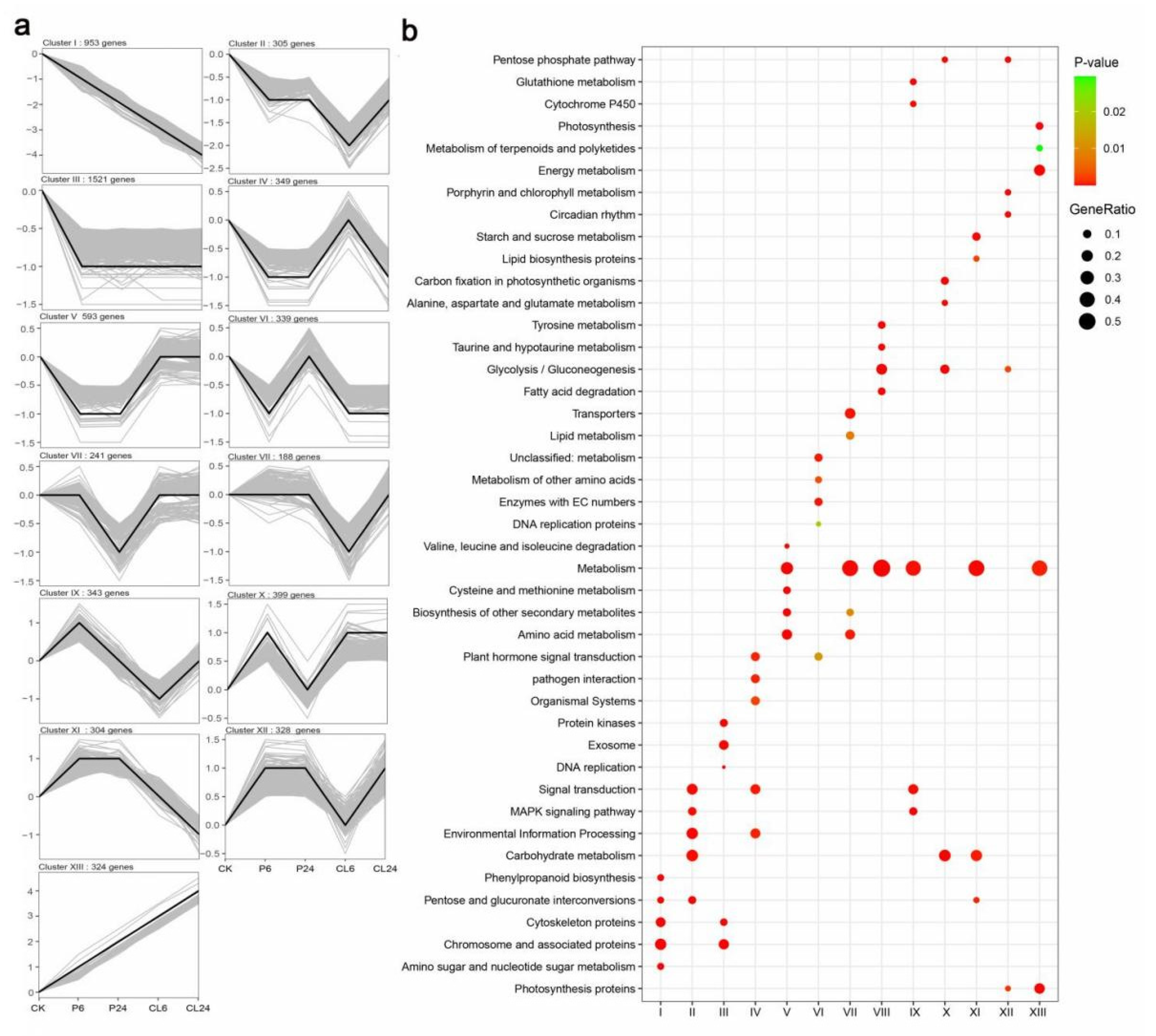 Forests 12 00454 g003