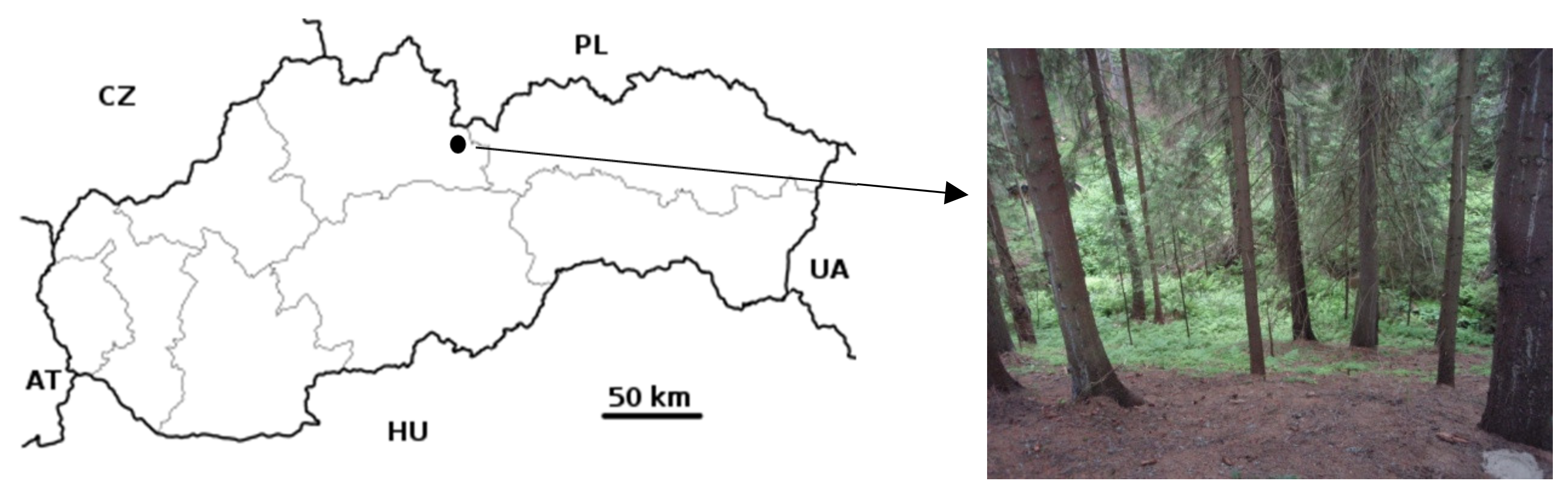 Forests 12 00472 g001