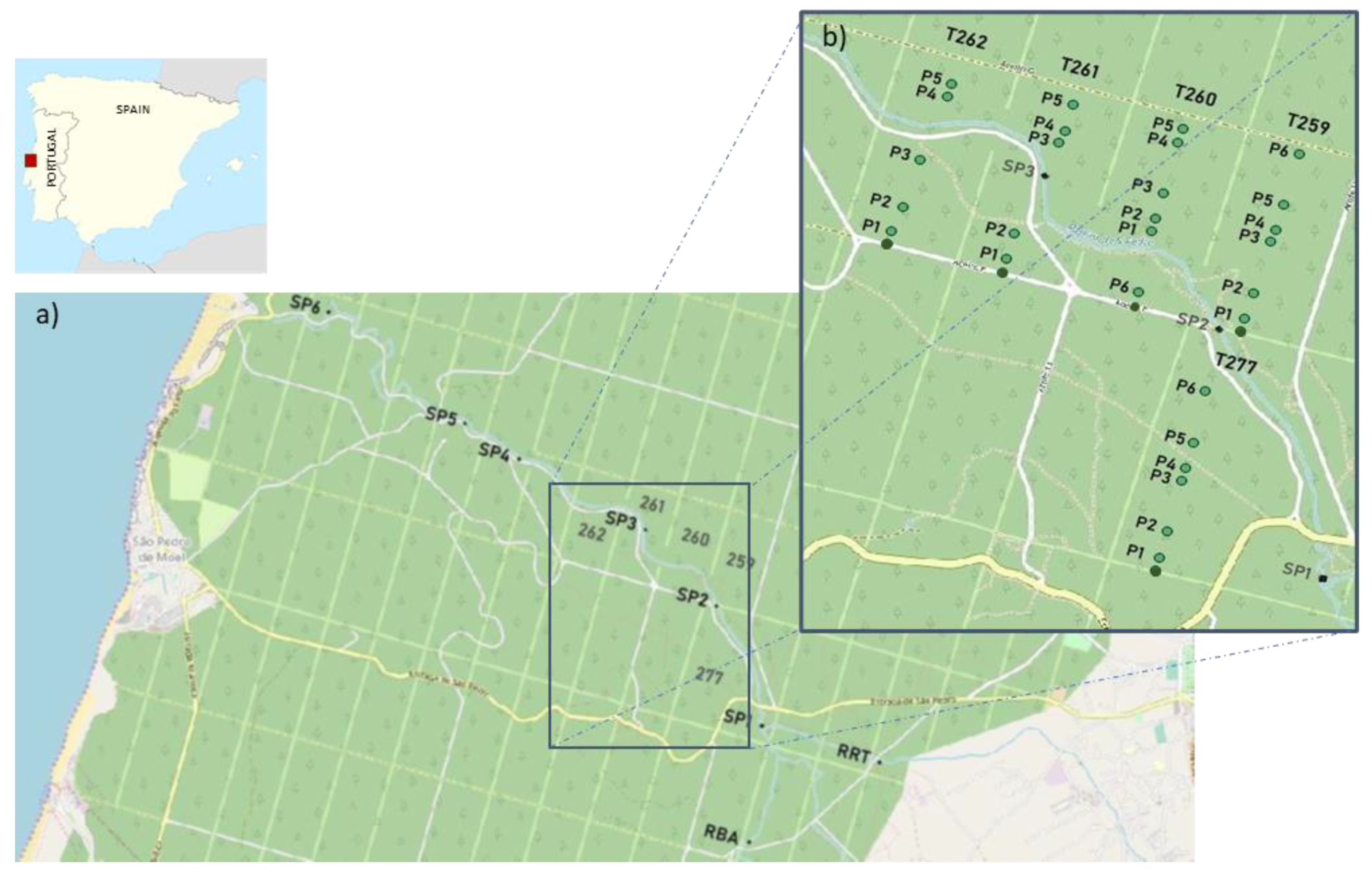 Forests 12 00477 g001