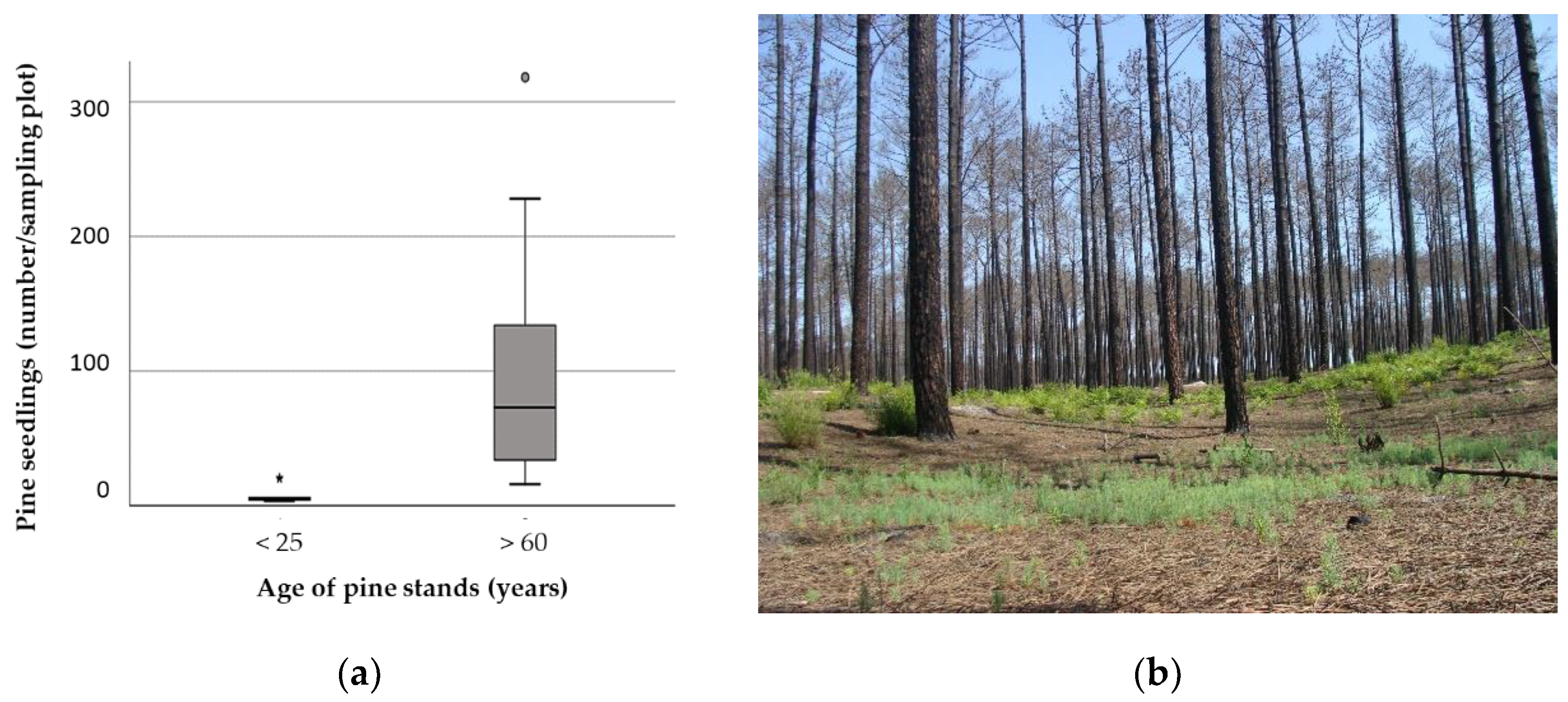 Forests 12 00477 g003