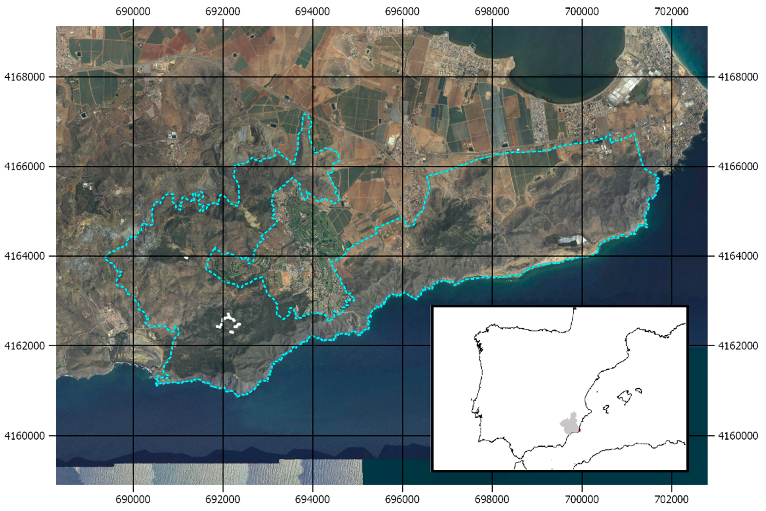 Forests 12 00487 g001