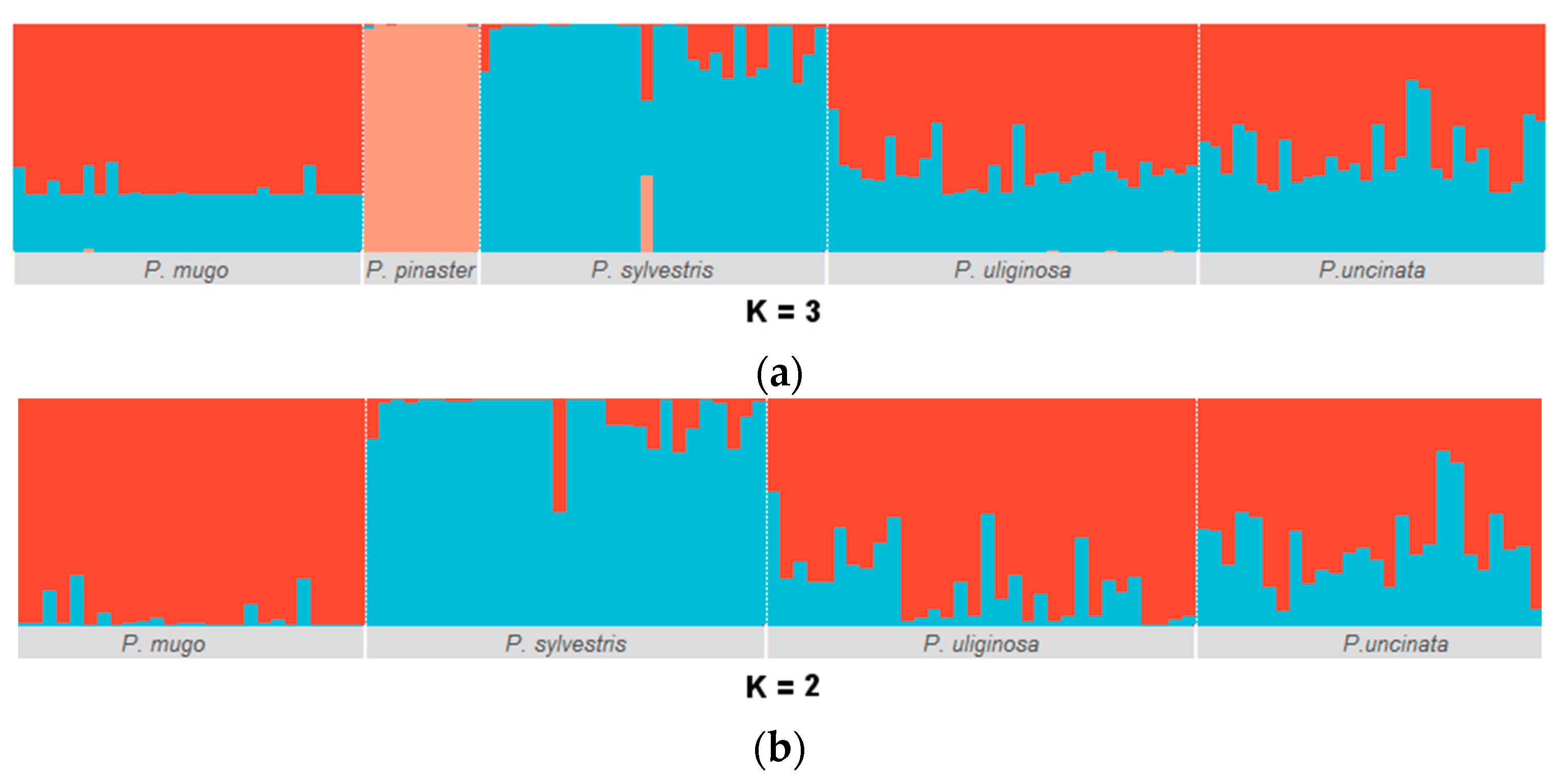 Forests 12 00489 g003