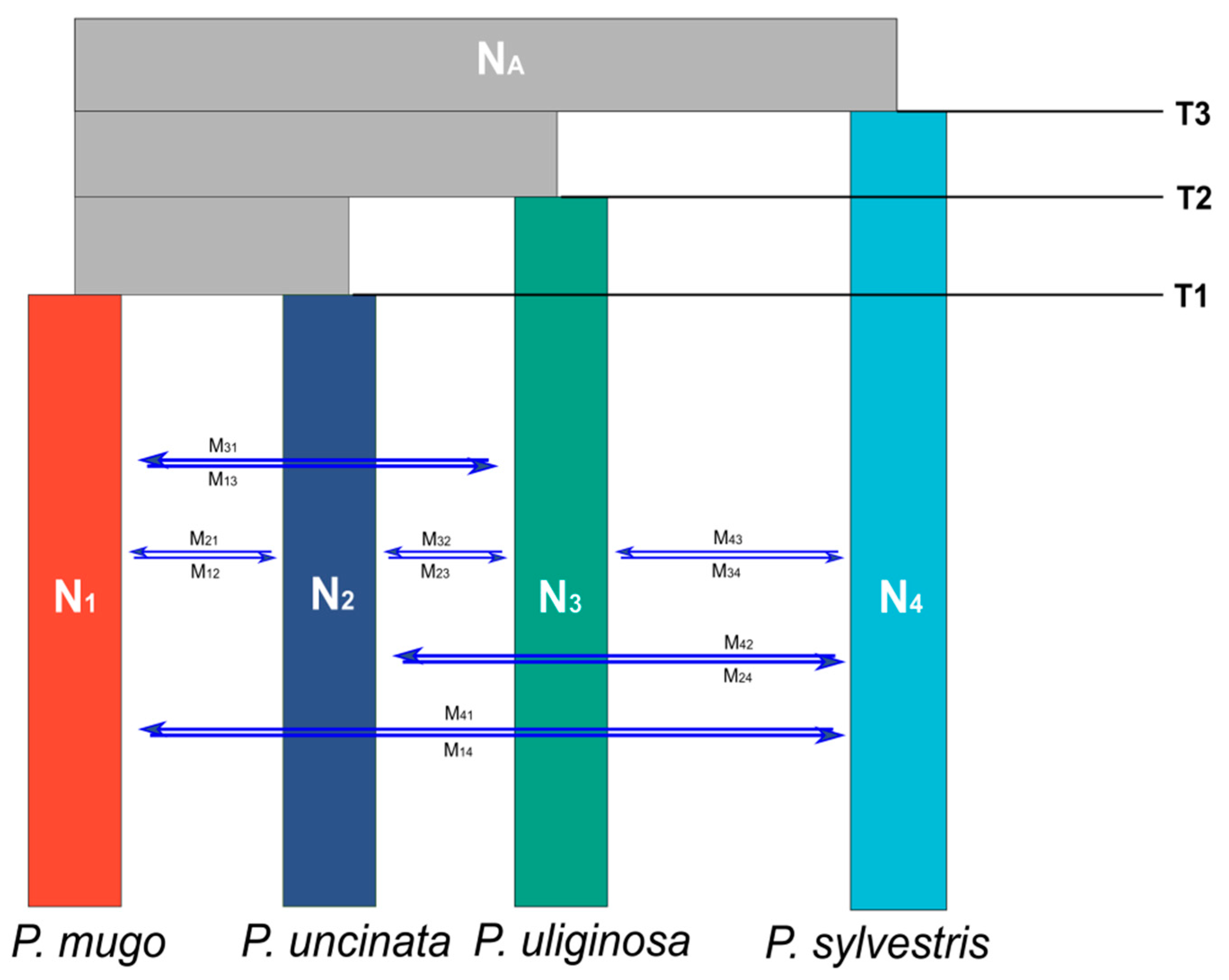 Forests 12 00489 g005