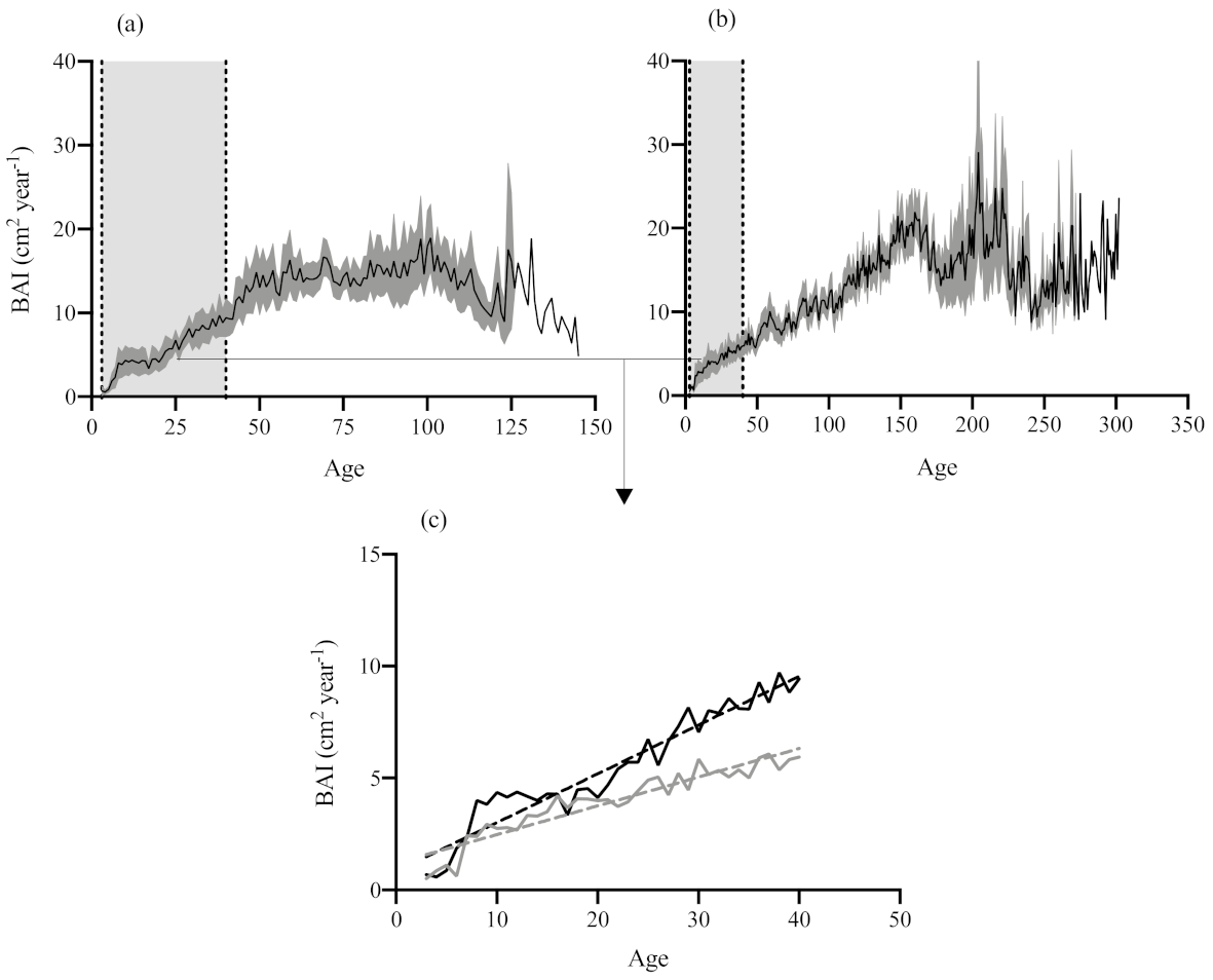 Forests 12 00511 g002