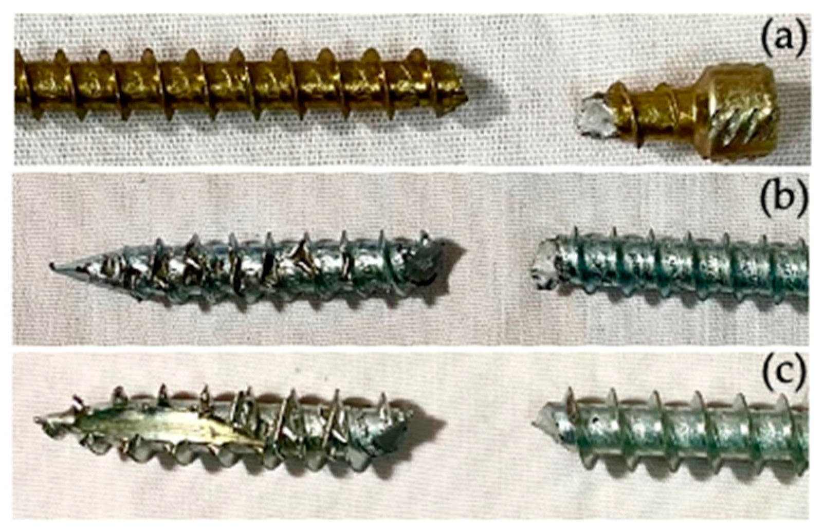 Forests 12 00524 g002