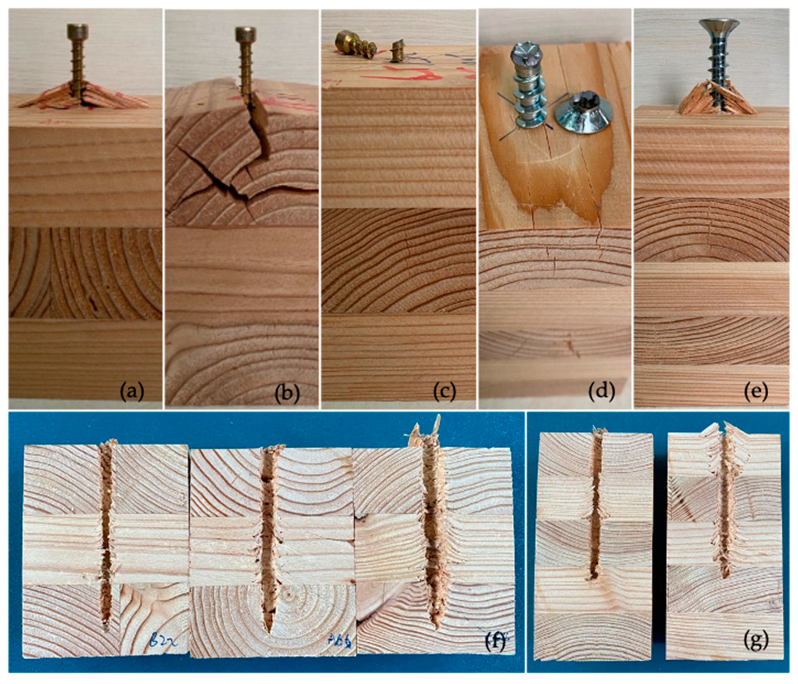 Forests 12 00524 g004