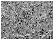 Forests 12 00527 i026 Forests 12 00527 i026