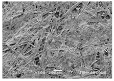 Forests 12 00527 i029 Forests 12 00527 i029