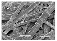 Forests 12 00527 i030 Forests 12 00527 i030