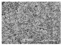 Forests 12 00527 i031 Forests 12 00527 i031