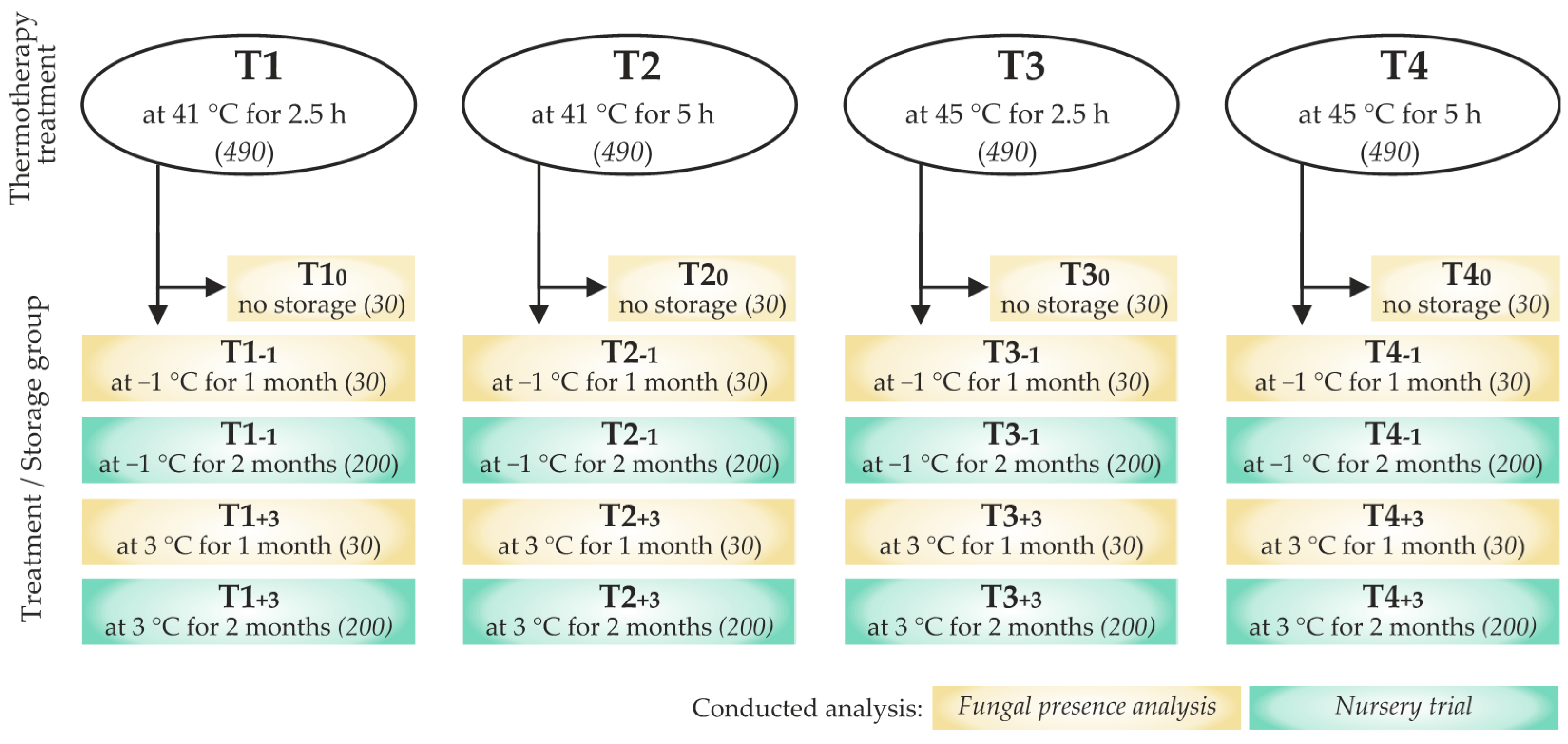 Forests 12 00528 g001