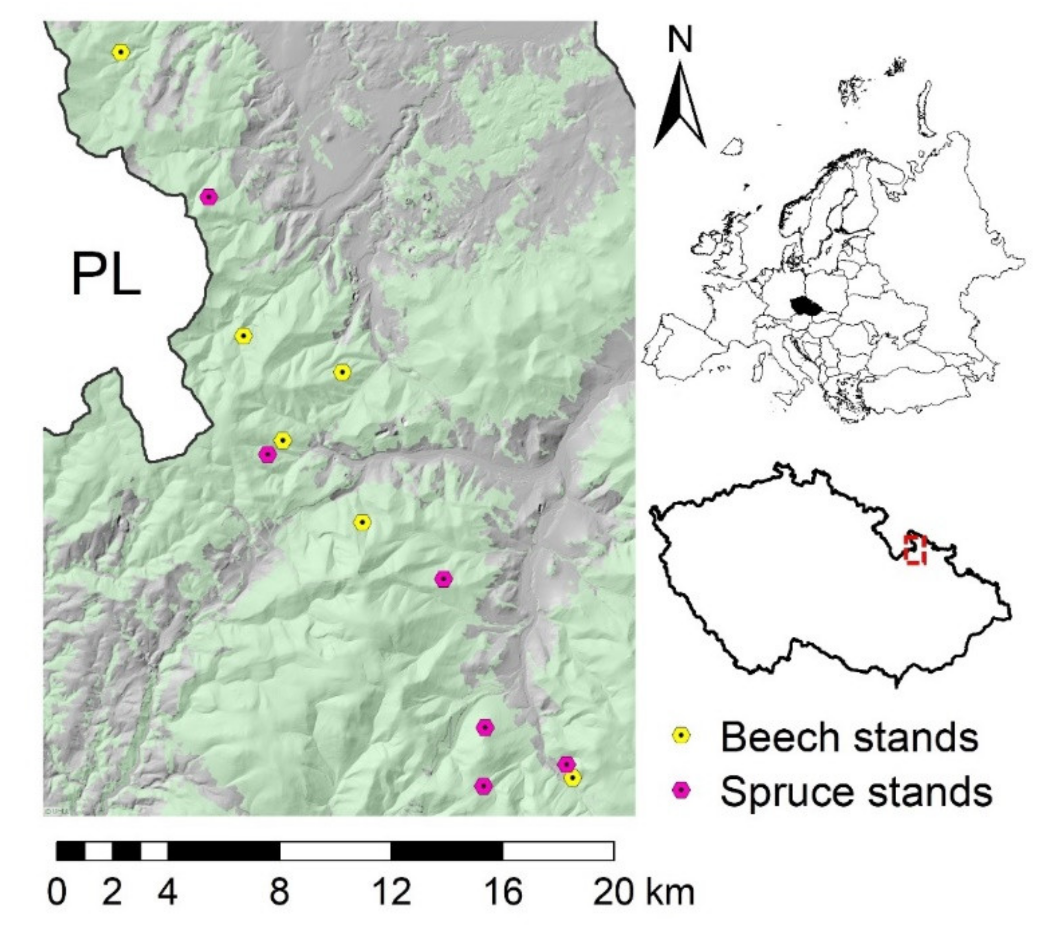 Forests 12 00539 g001