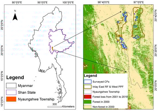 Forests 12 00541 g001
