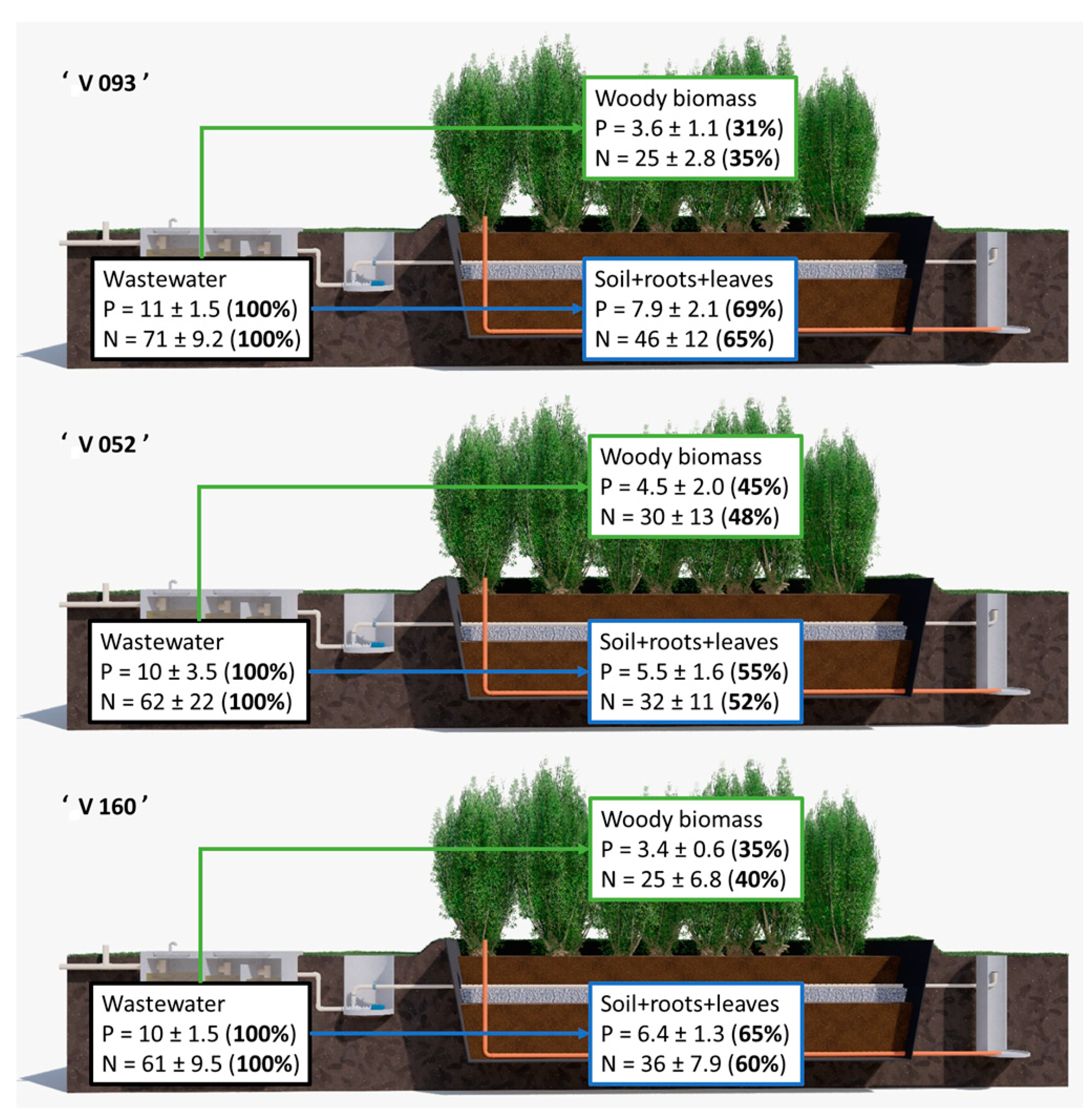Forests 12 00554 g005