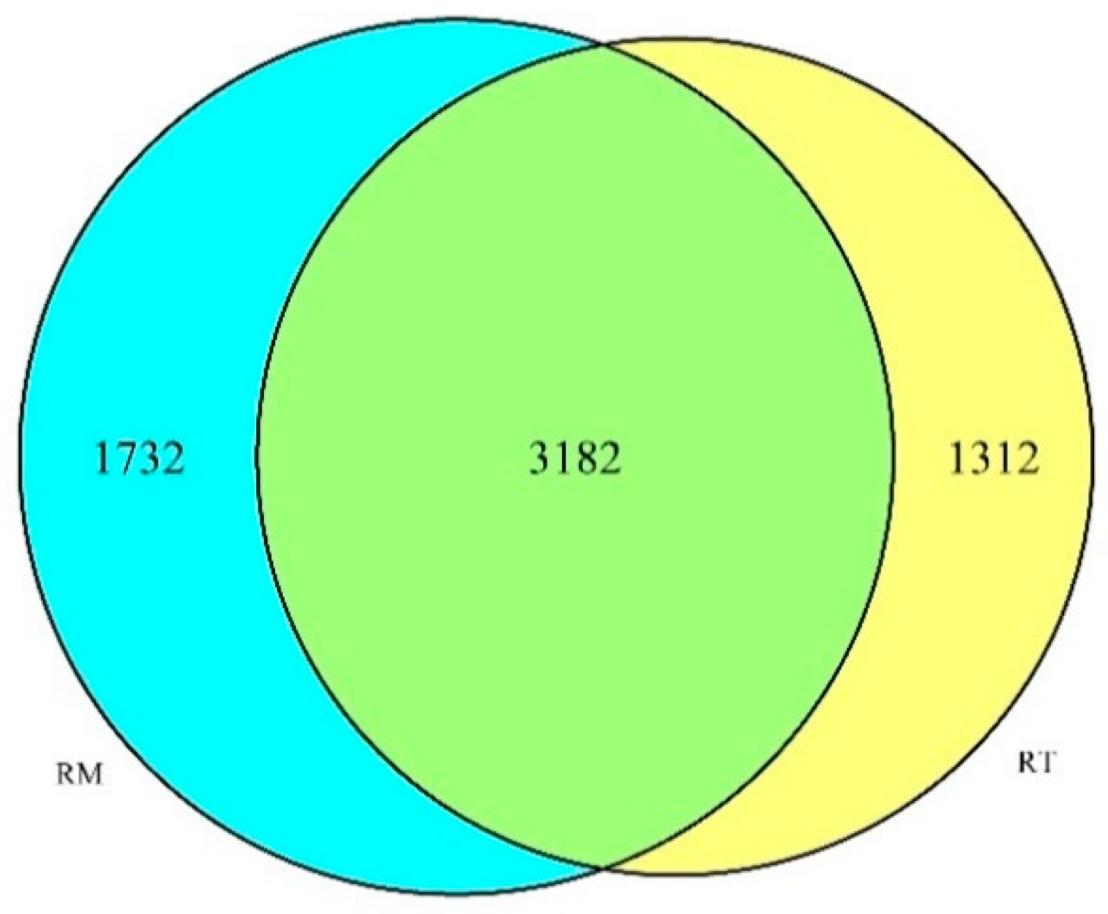 Forests 12 00559 g001