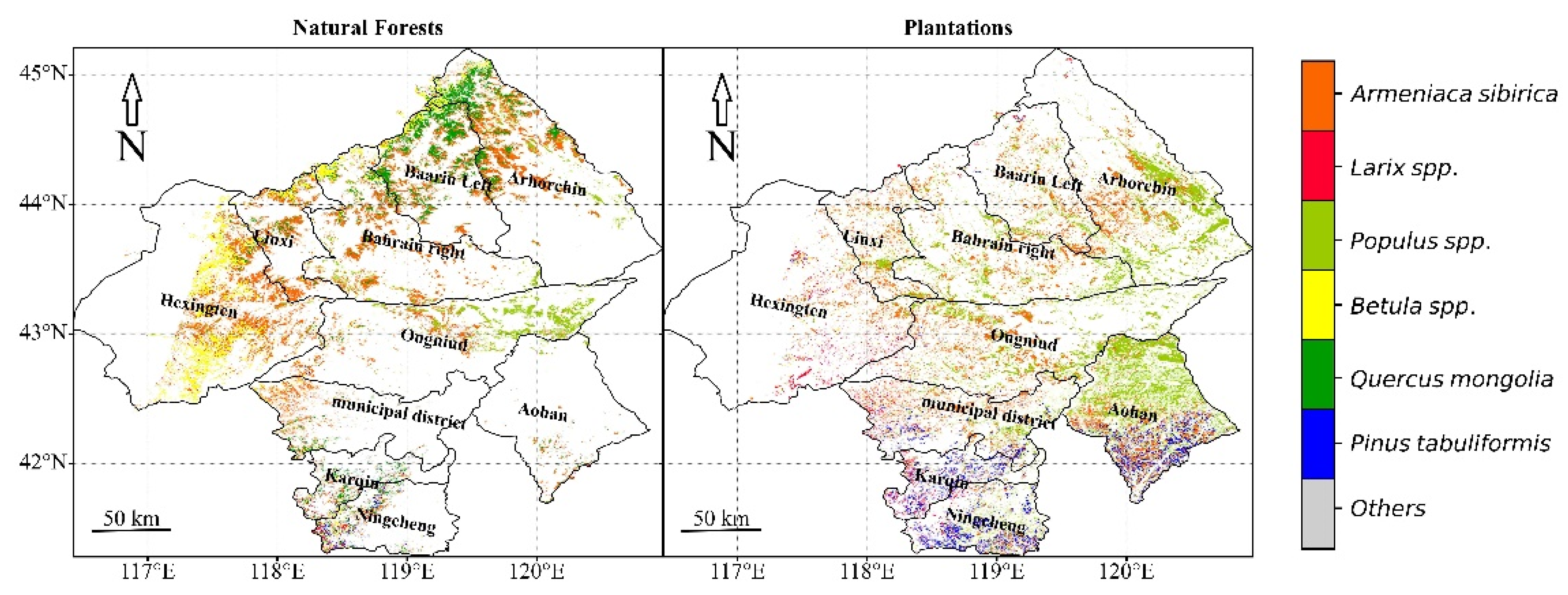 Forests 12 00565 g010
