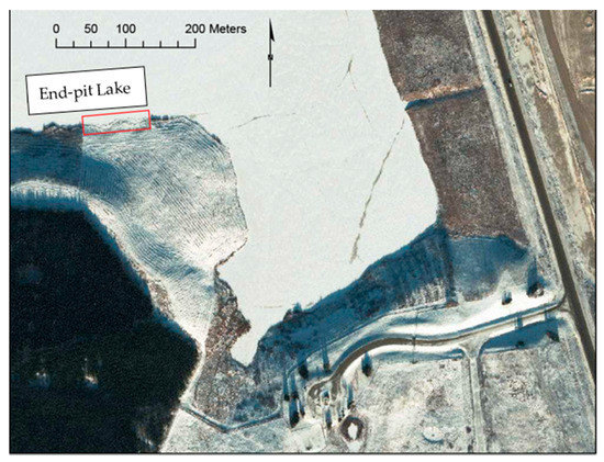 Forests 12 00572 g0a2