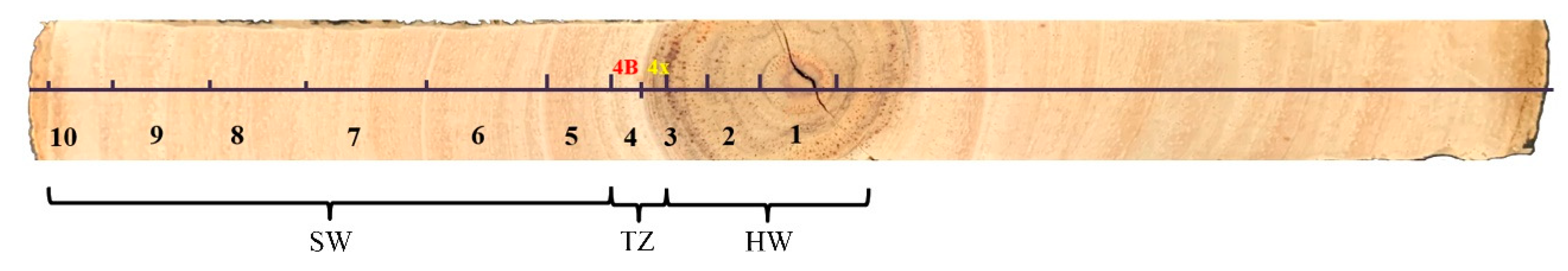 Forests 12 00577 g001