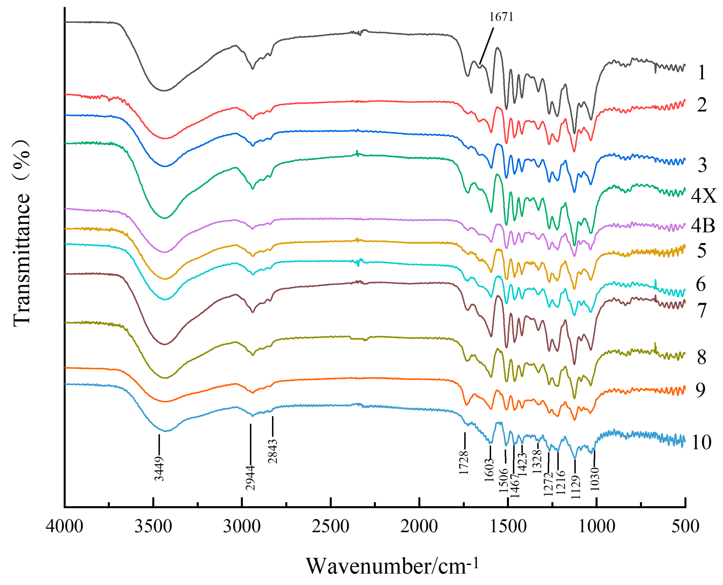 Forests 12 00577 g004