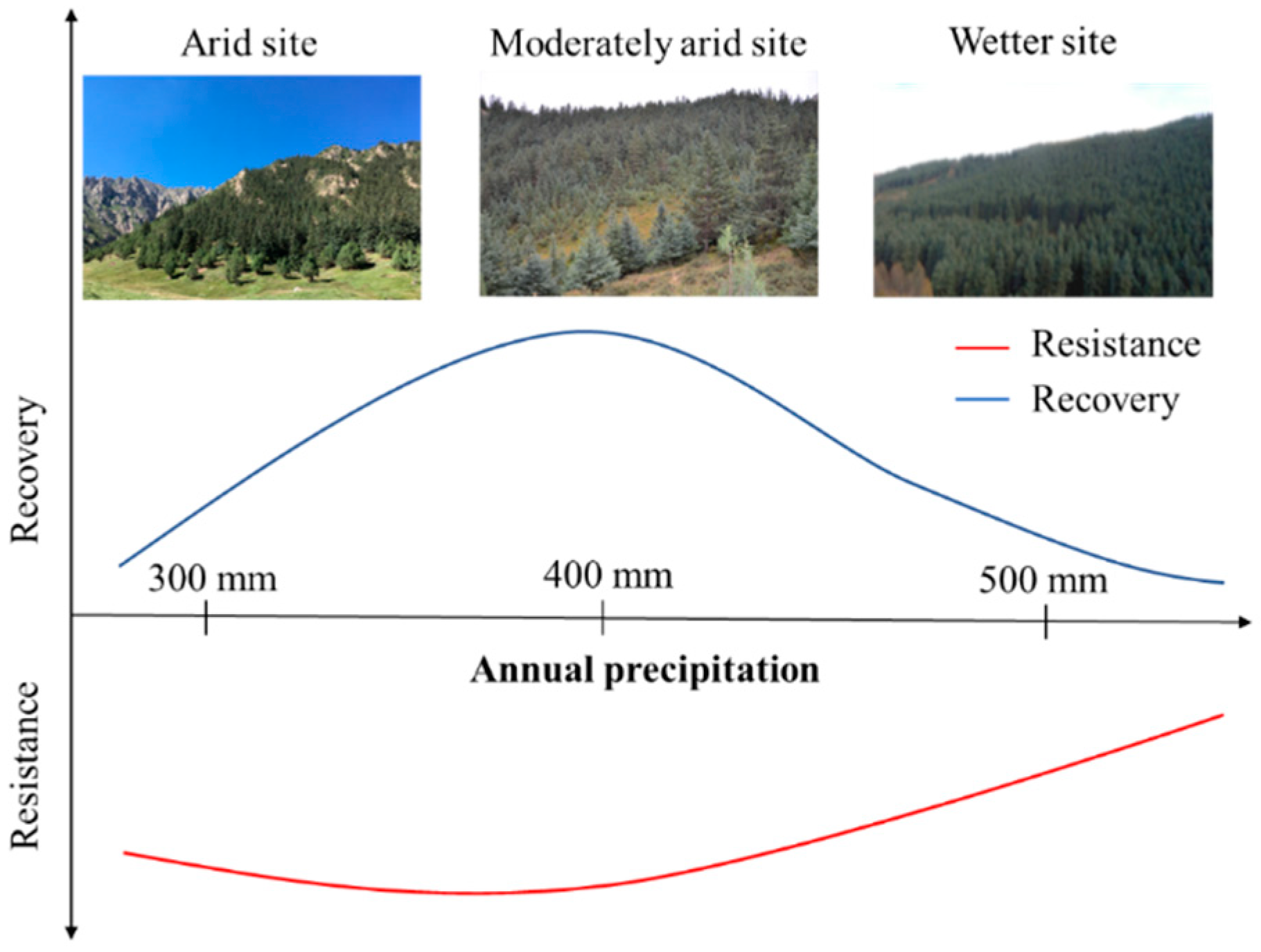 Forests 12 00579 g007 Forests 12 00579 g007