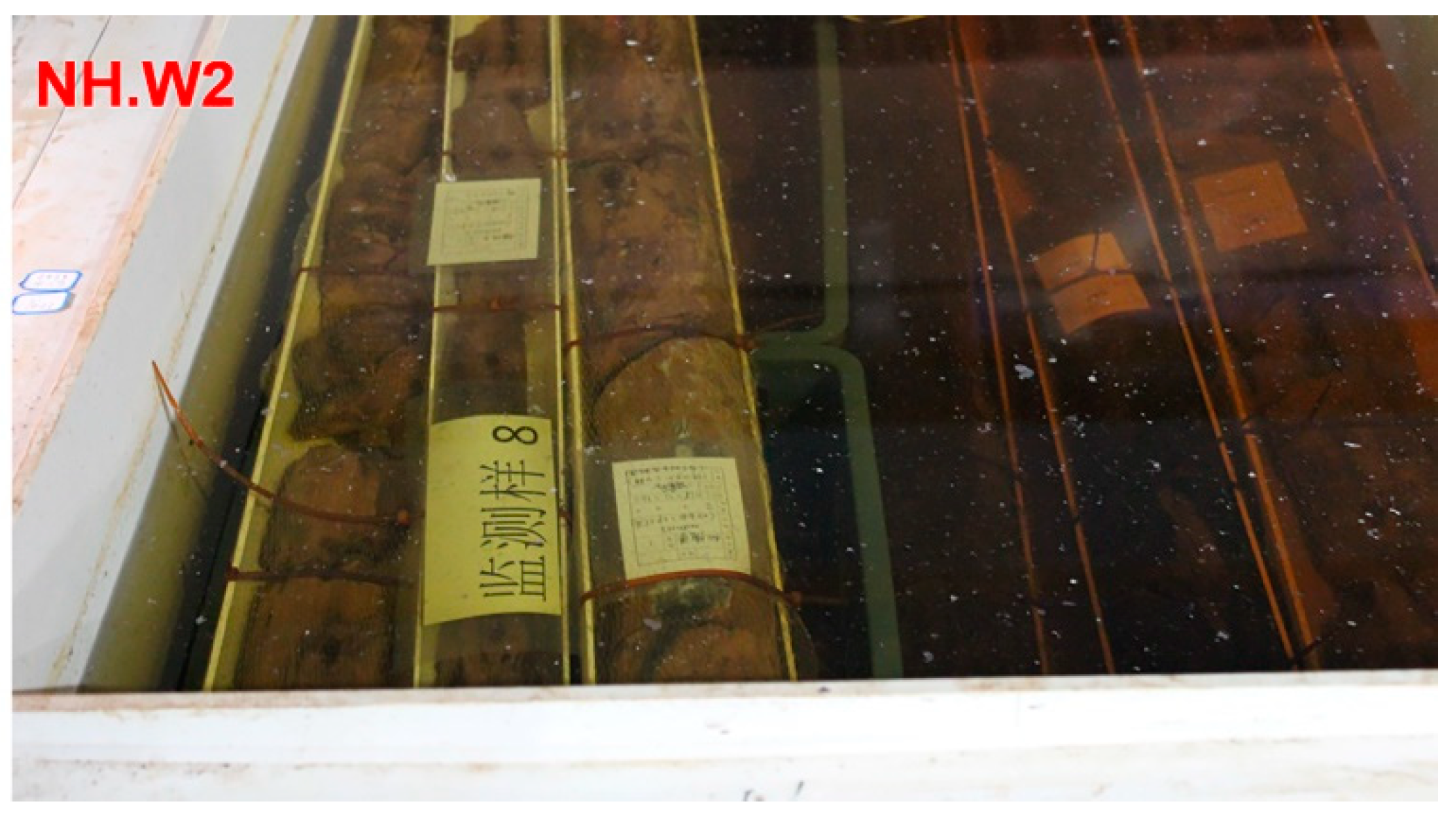 Forests 12 00587 g001