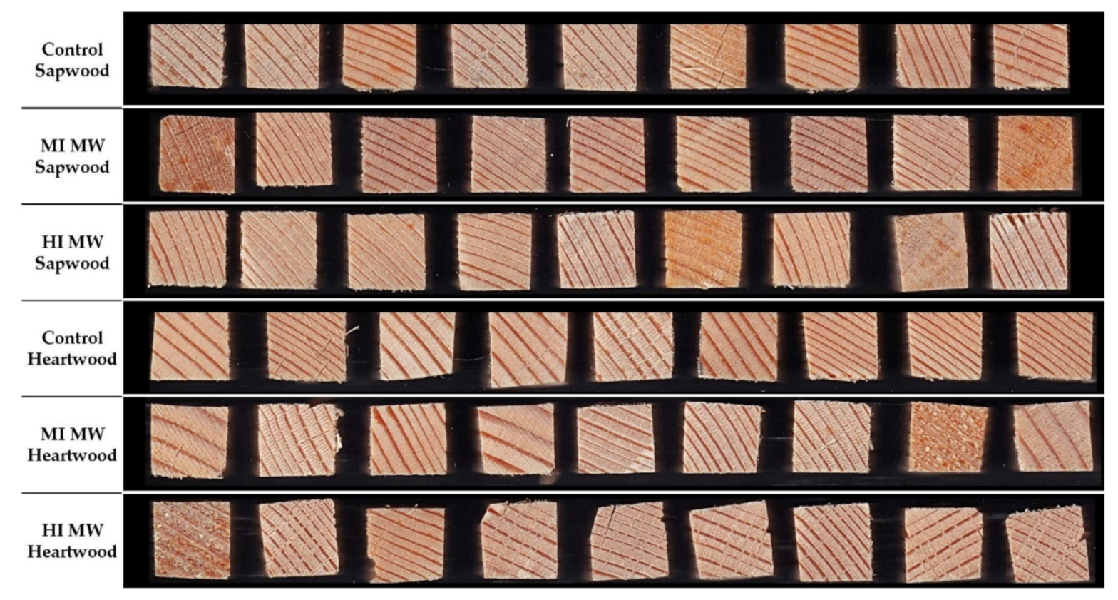 Forests 12 00598 g001