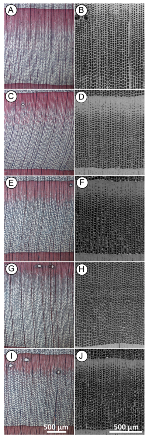 Forests 12 00598 g002