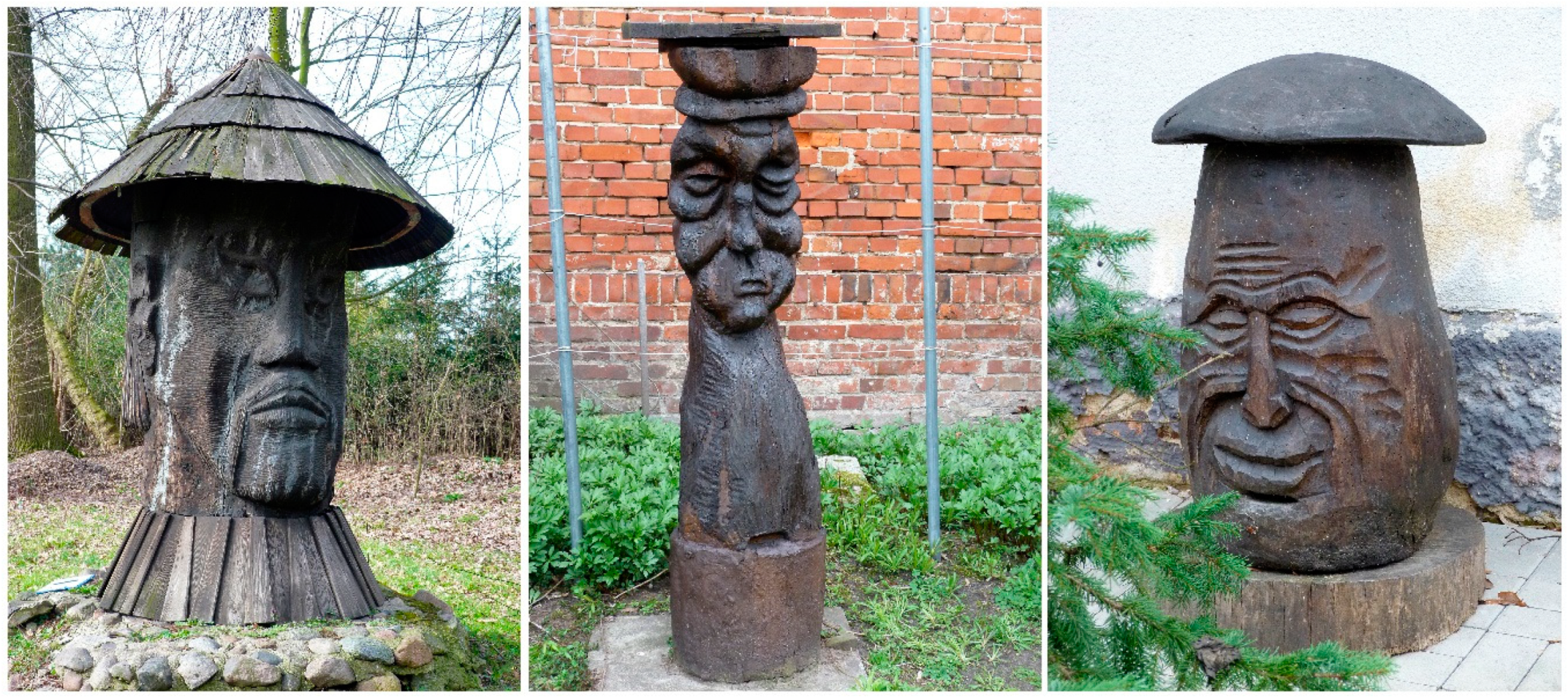 Forests 12 00606 g001 Forests 12 00606 g001