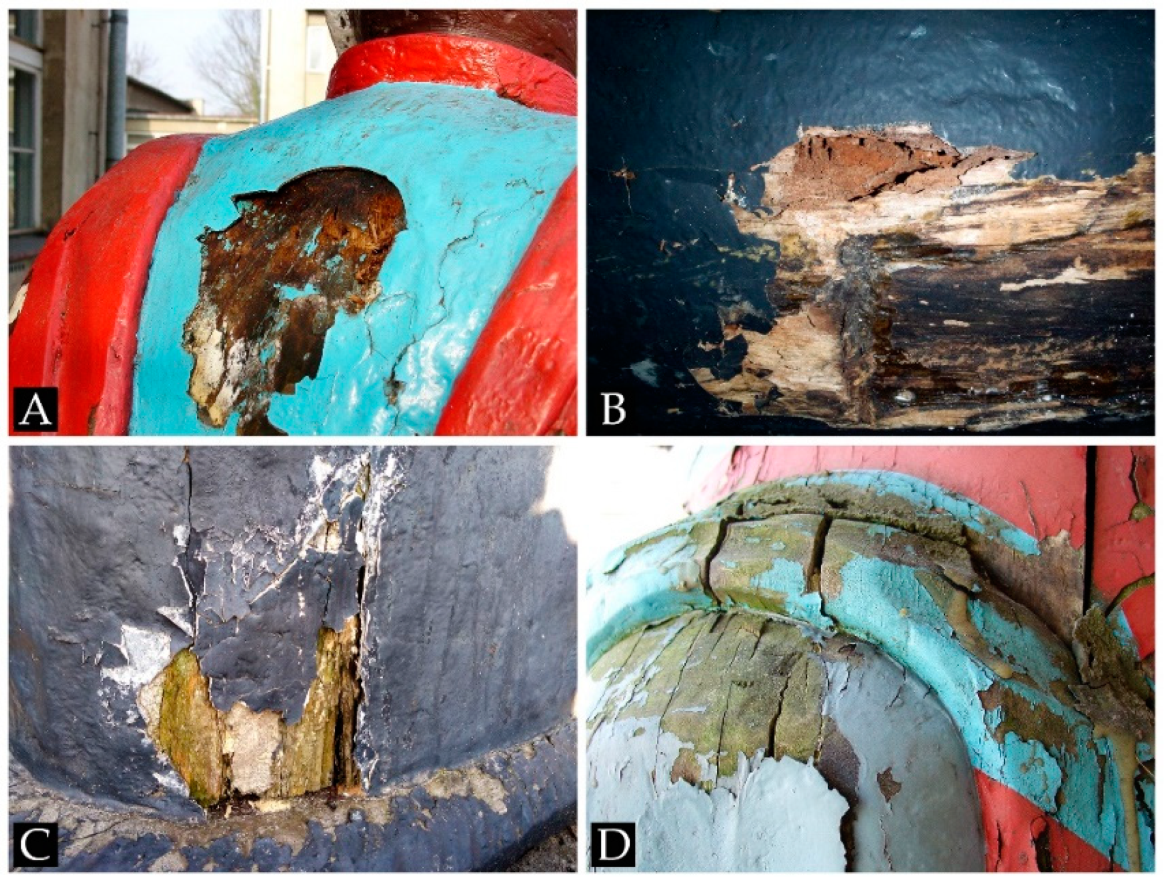 Forests 12 00606 g004 Forests 12 00606 g004