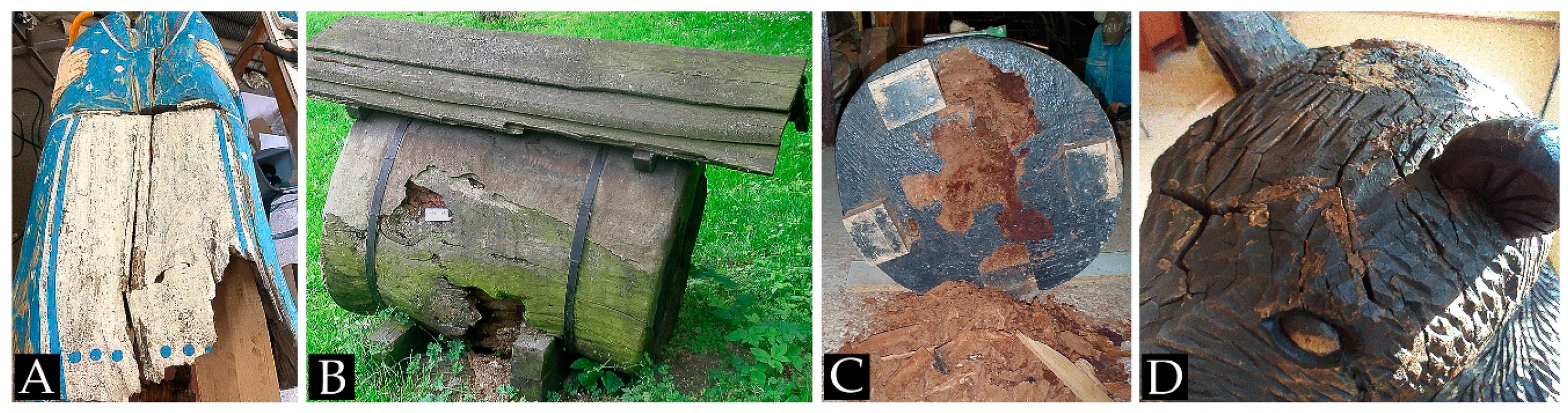 Forests 12 00606 g005 Forests 12 00606 g005