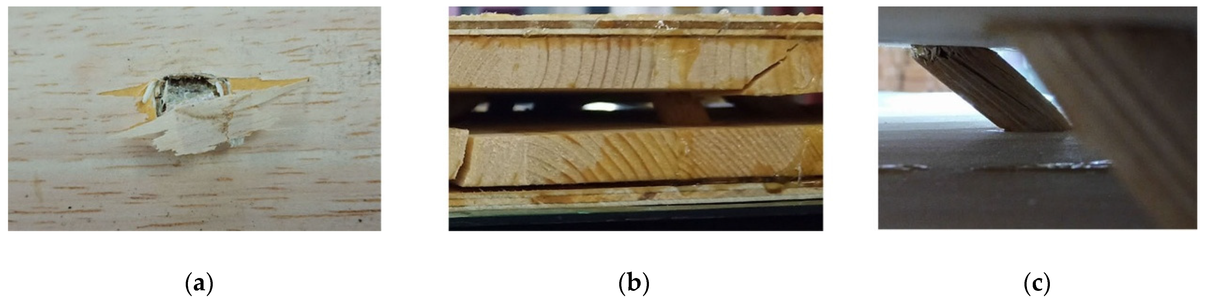 Forests 12 00607 g007