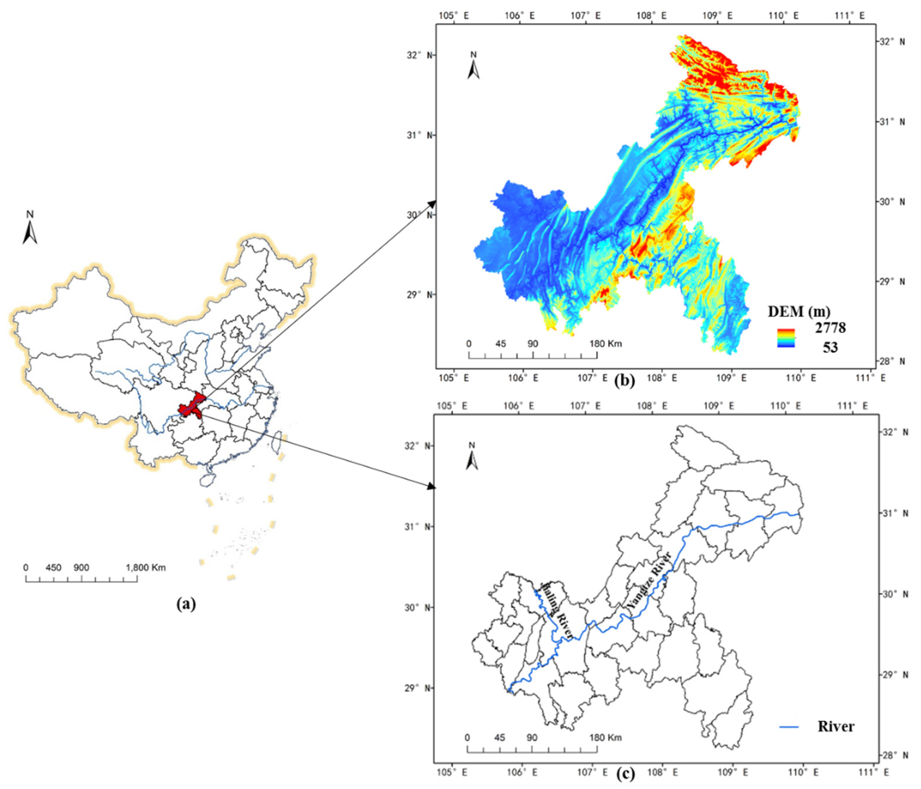 Forests 12 00616 g001