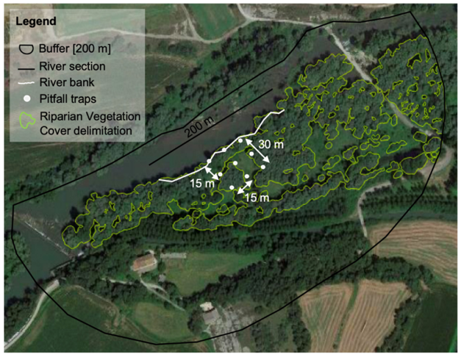 Forests 12 00625 g002