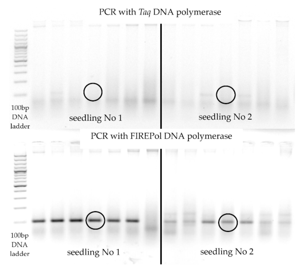 Forests 12 00628 g003