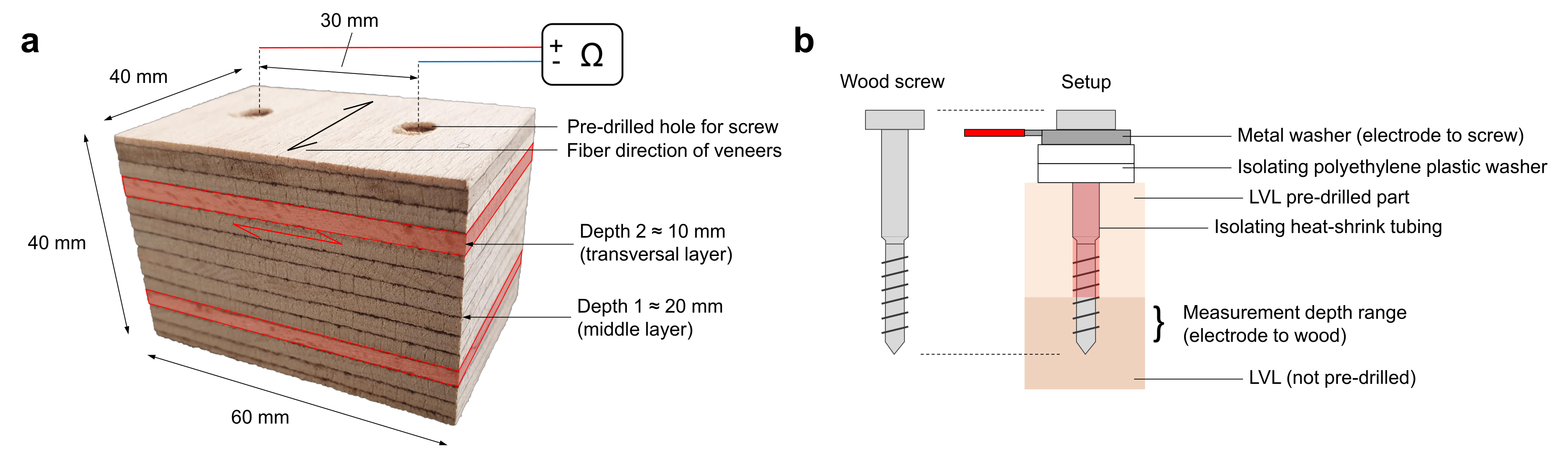 Forests 12 00635 g001