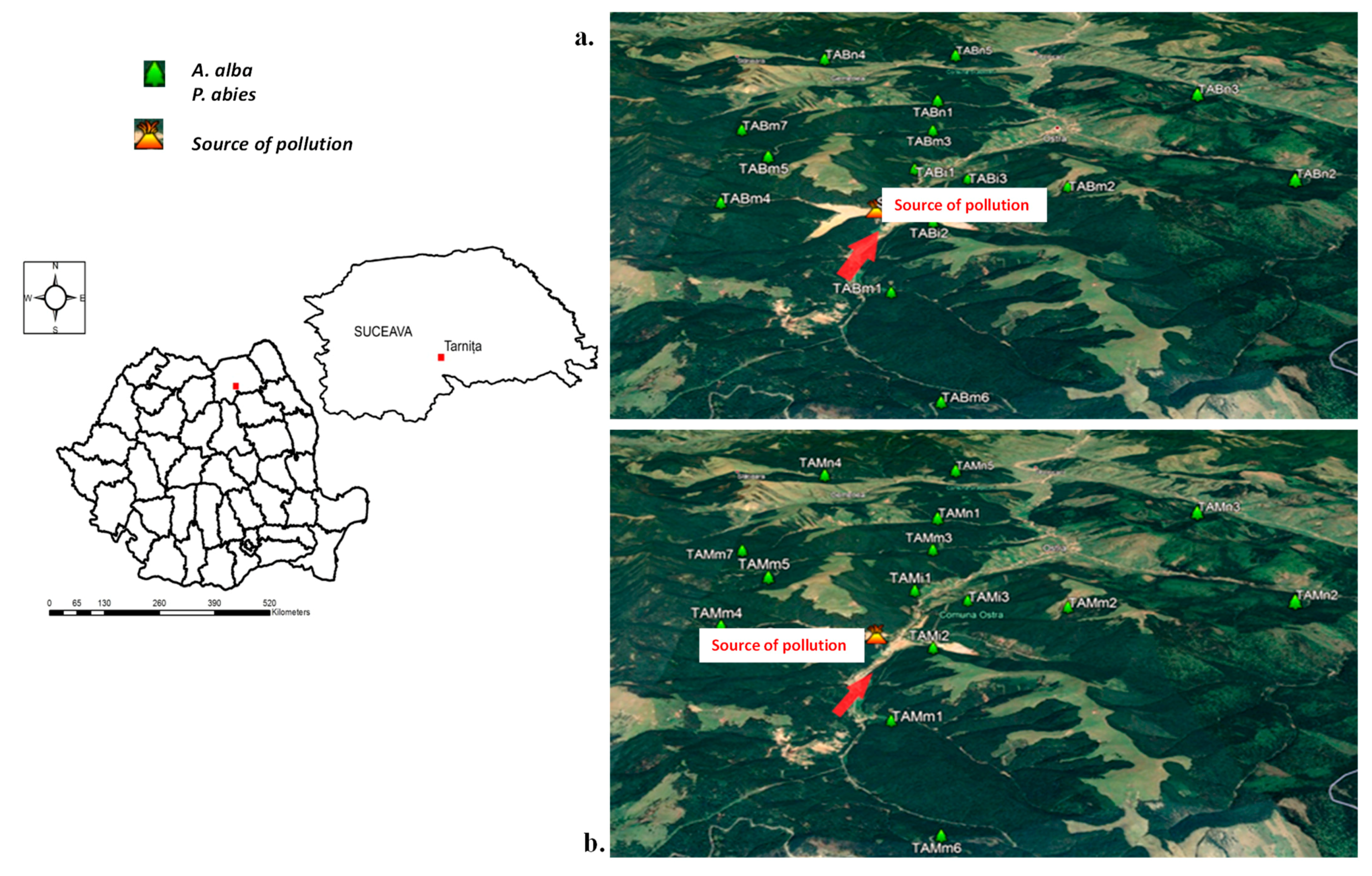 Forests 12 00640 g001