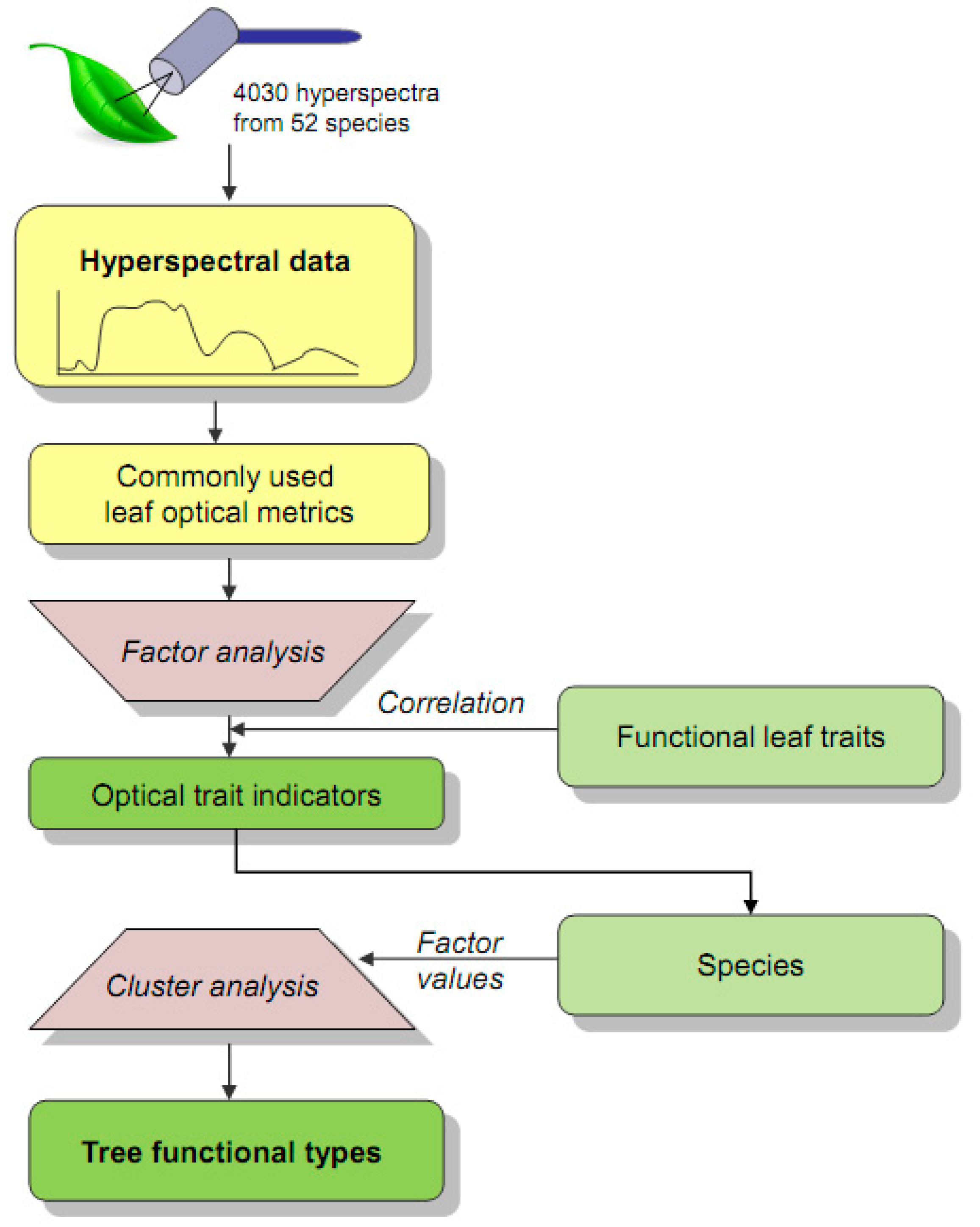 Forests 12 00649 g002