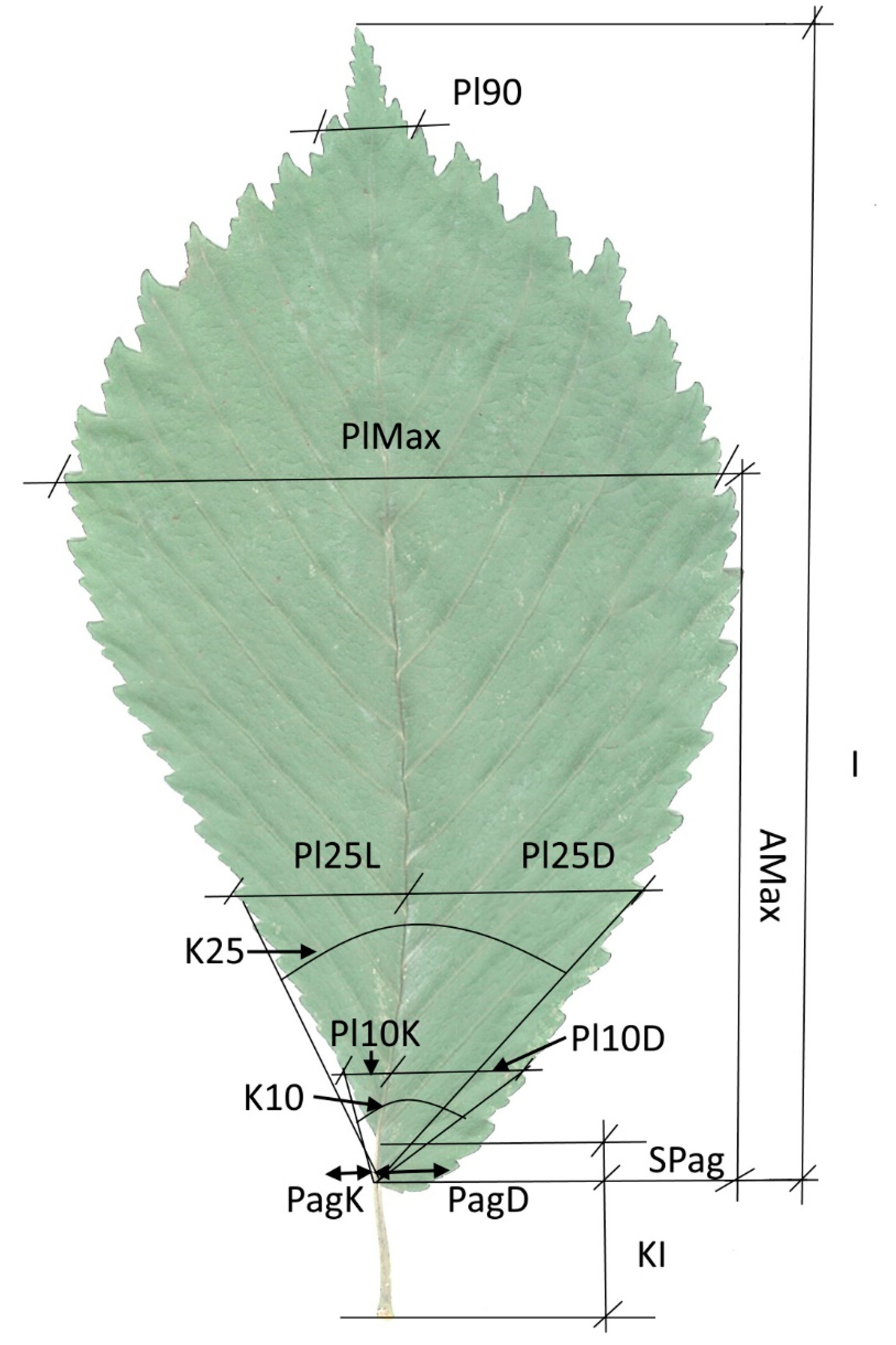 Forests 12 00653 g002 Forests 12 00653 g002