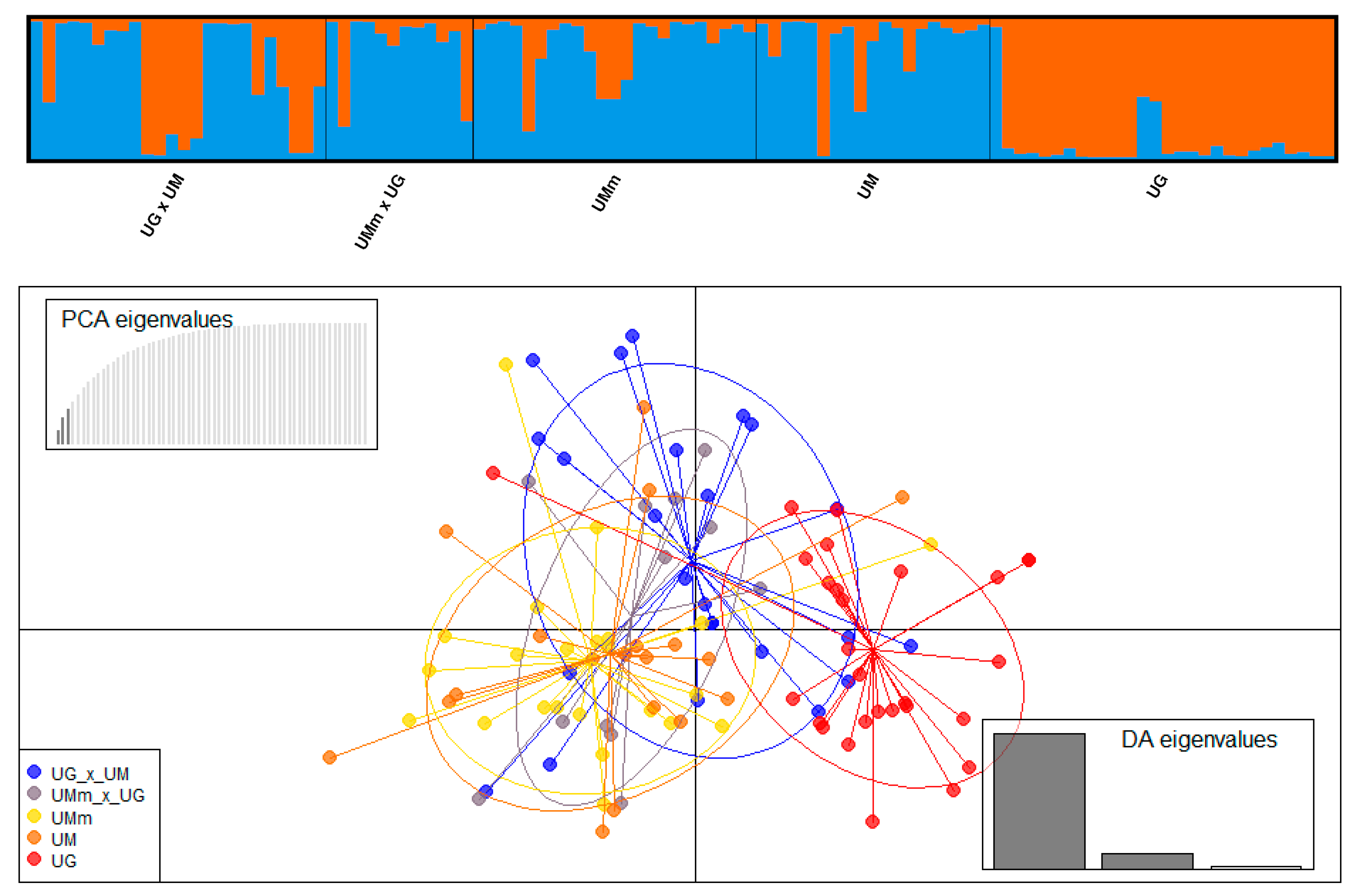 Forests 12 00653 g005 Forests 12 00653 g005