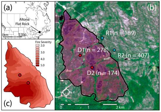 Forests 12 00676 g001