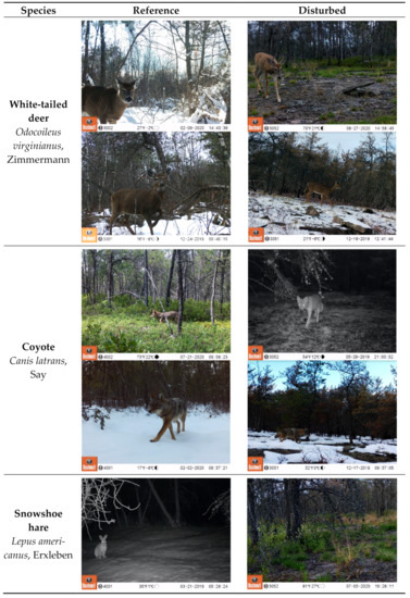 Forests 12 00676 g0a1a