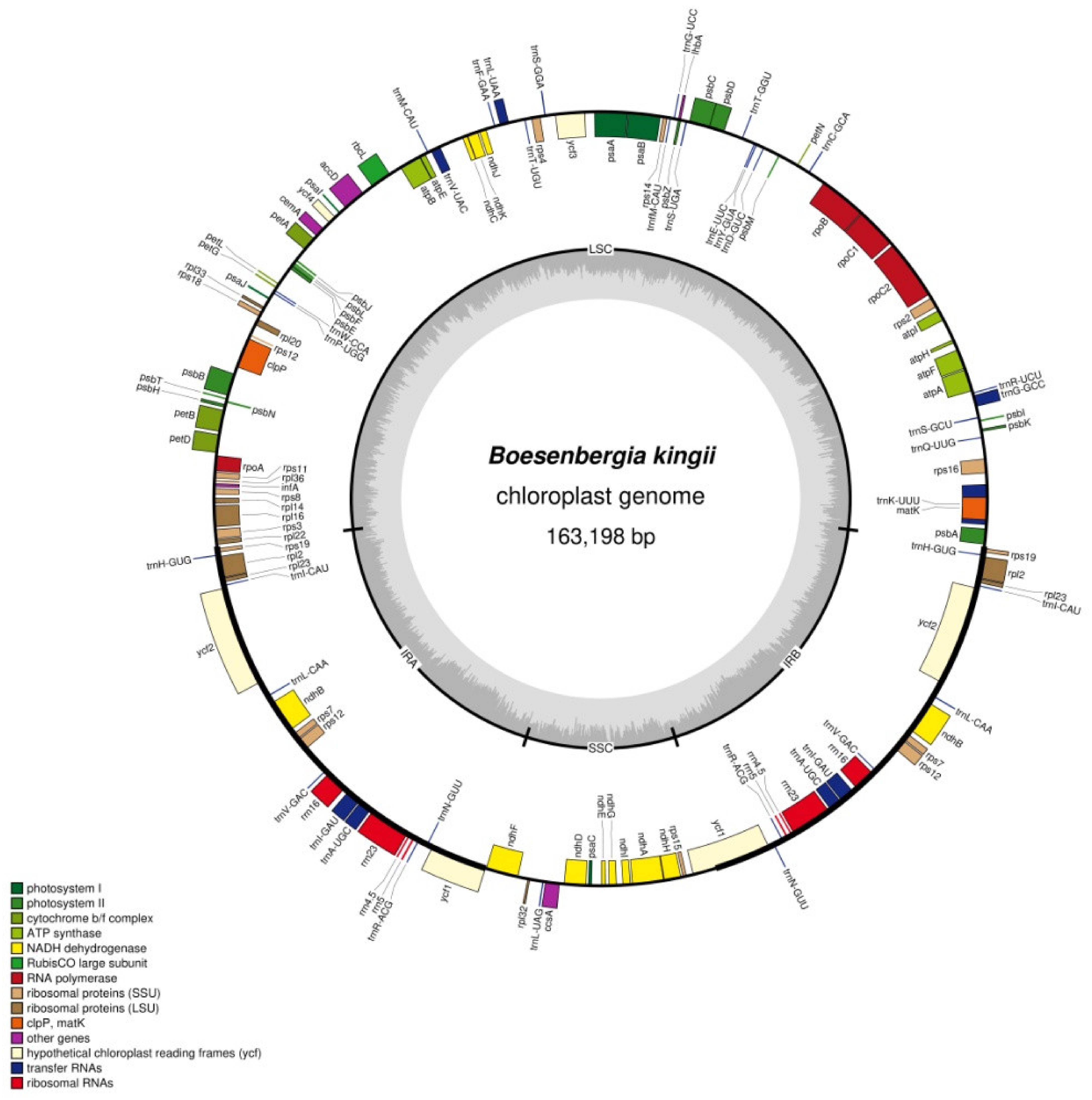Forests 12 00710 g001