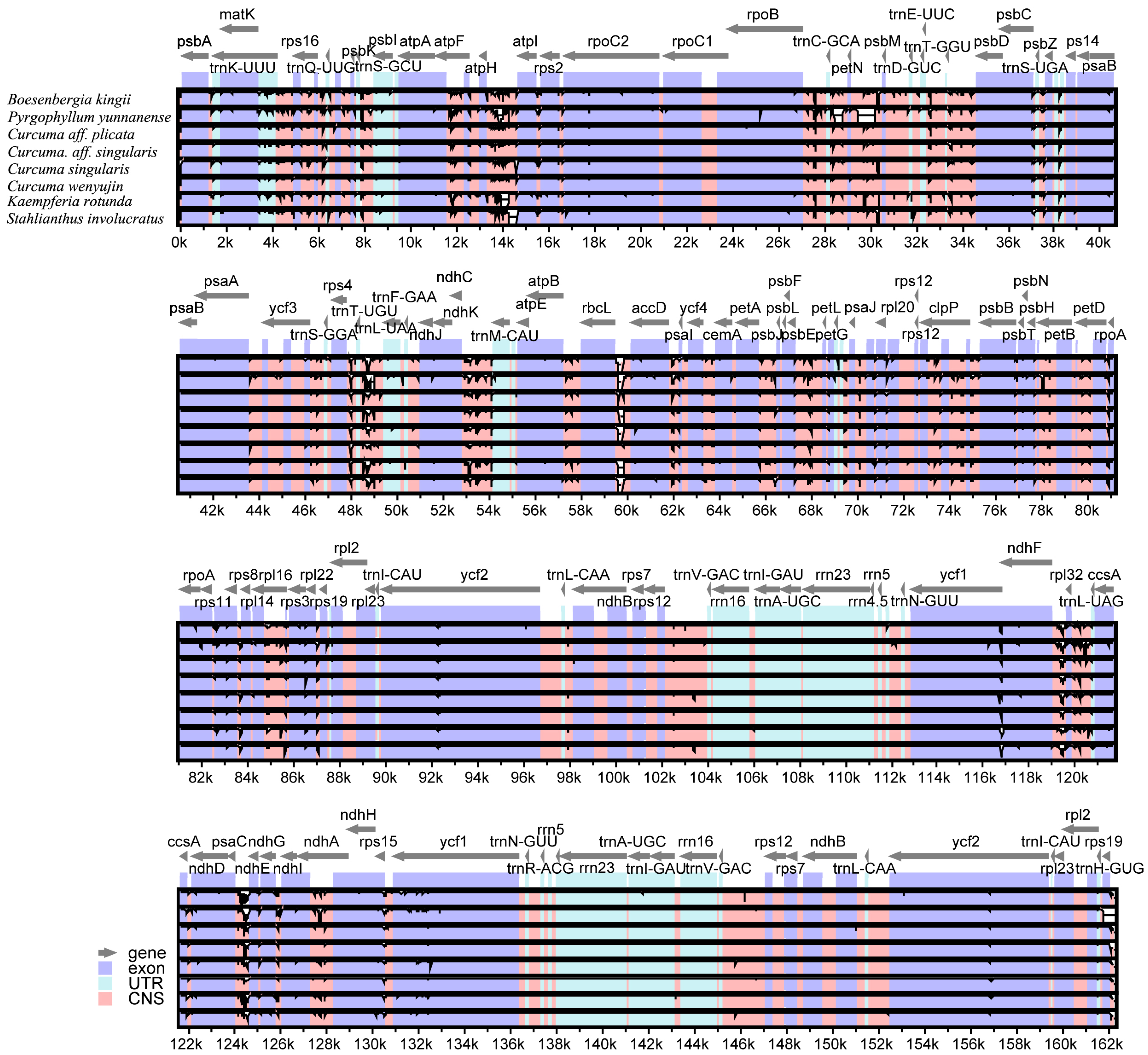 Forests 12 00710 g003