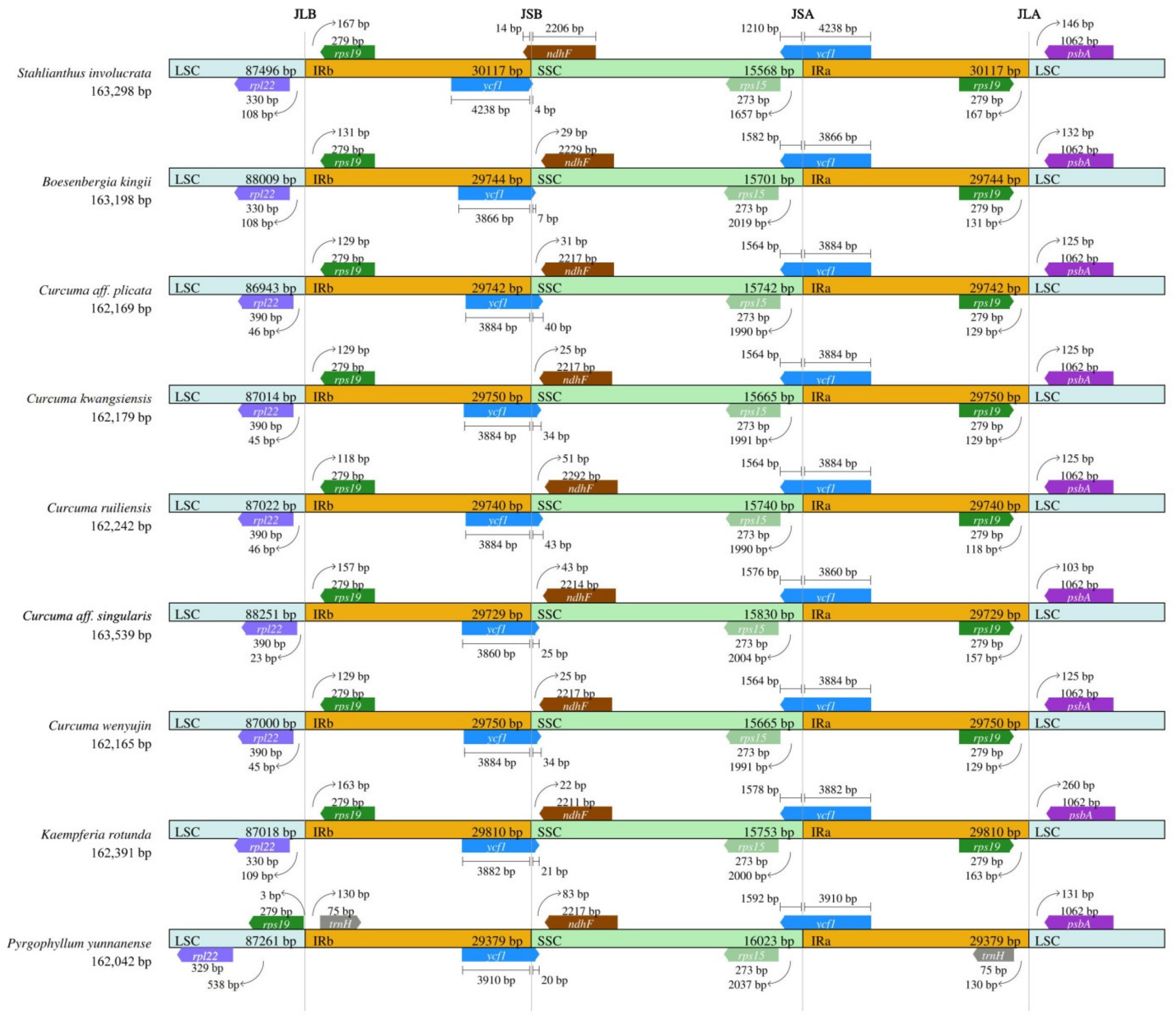 Forests 12 00710 g005
